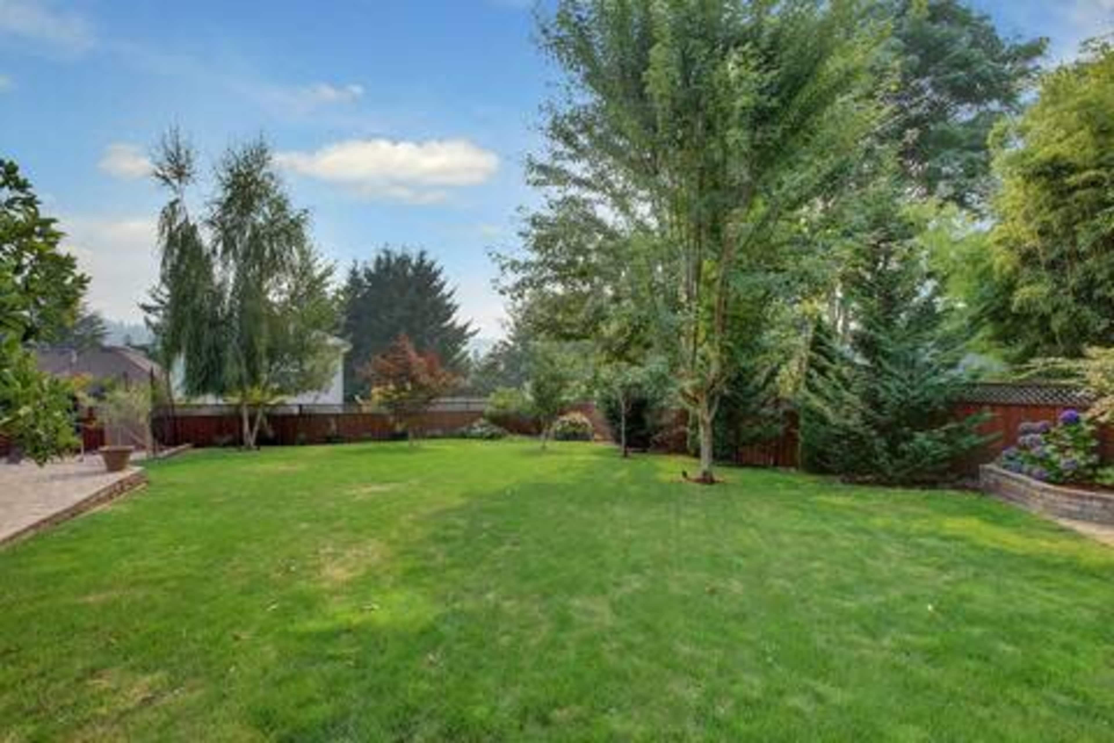 A vast green lawn bordered by trees and shrubs in a residential backyard.