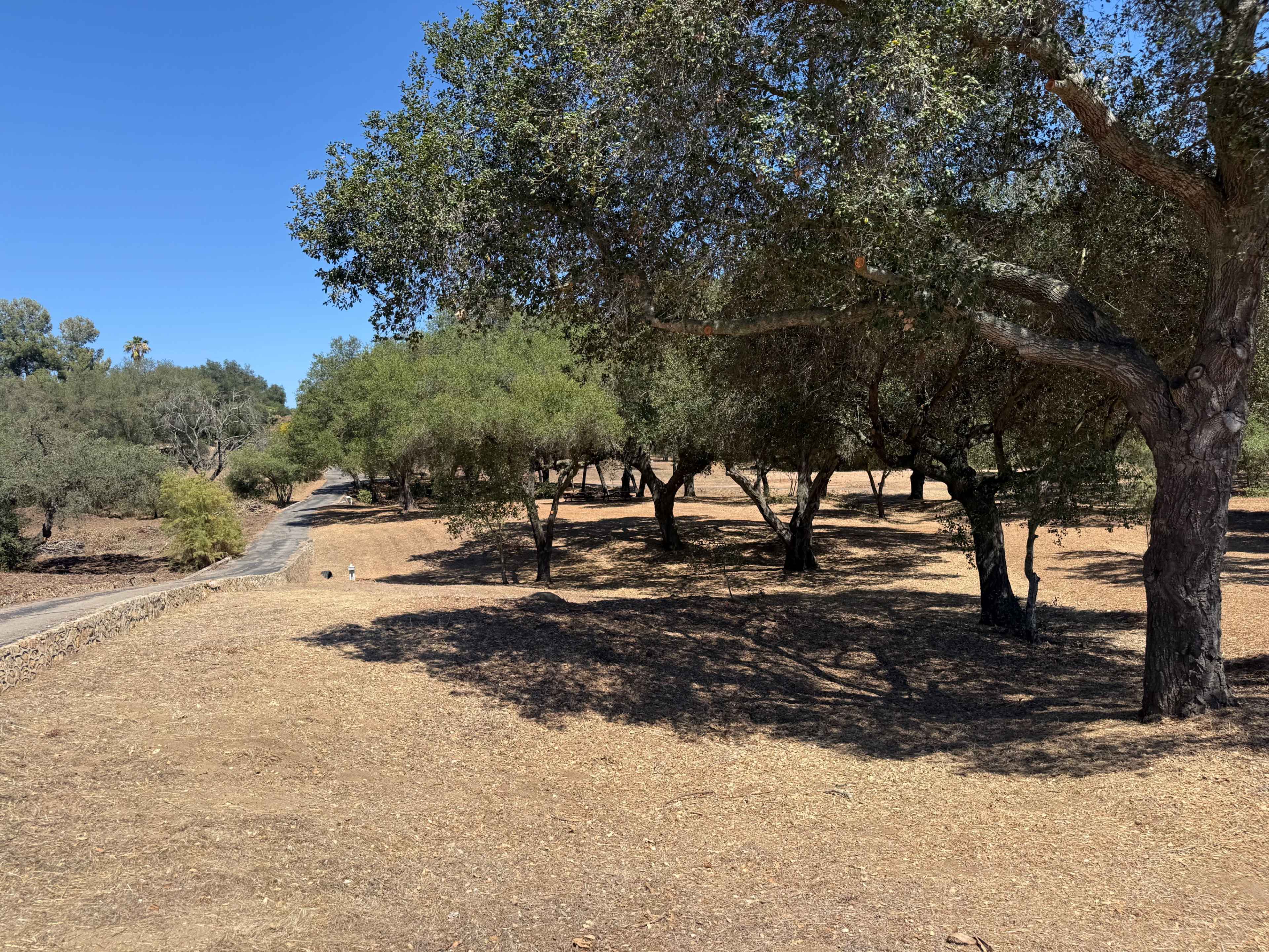 Oak Meadow Park Image in , Escondido, CA