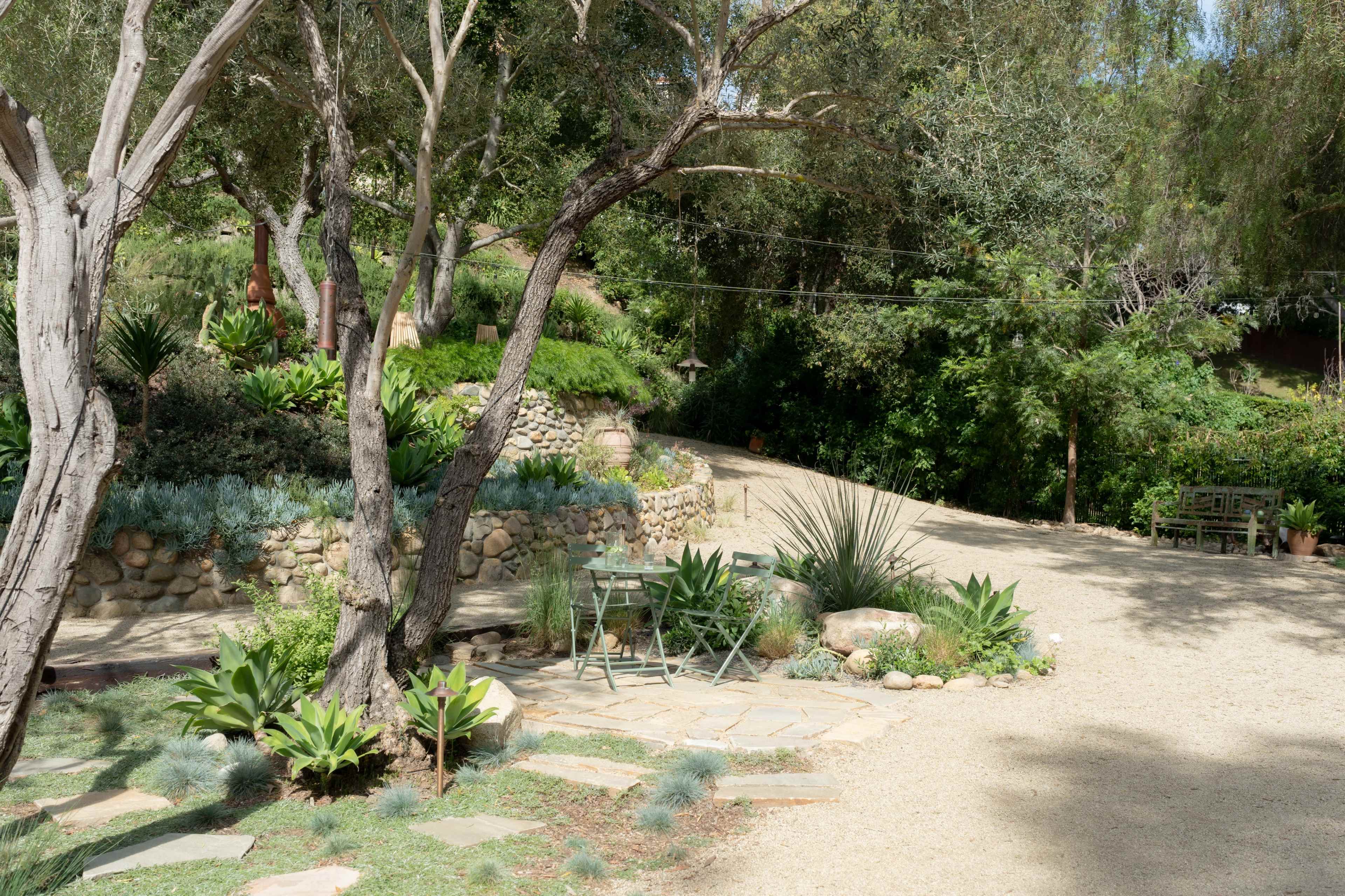 The image shows a landscaped garden path lined with plants and trees leading up to a gravel road.