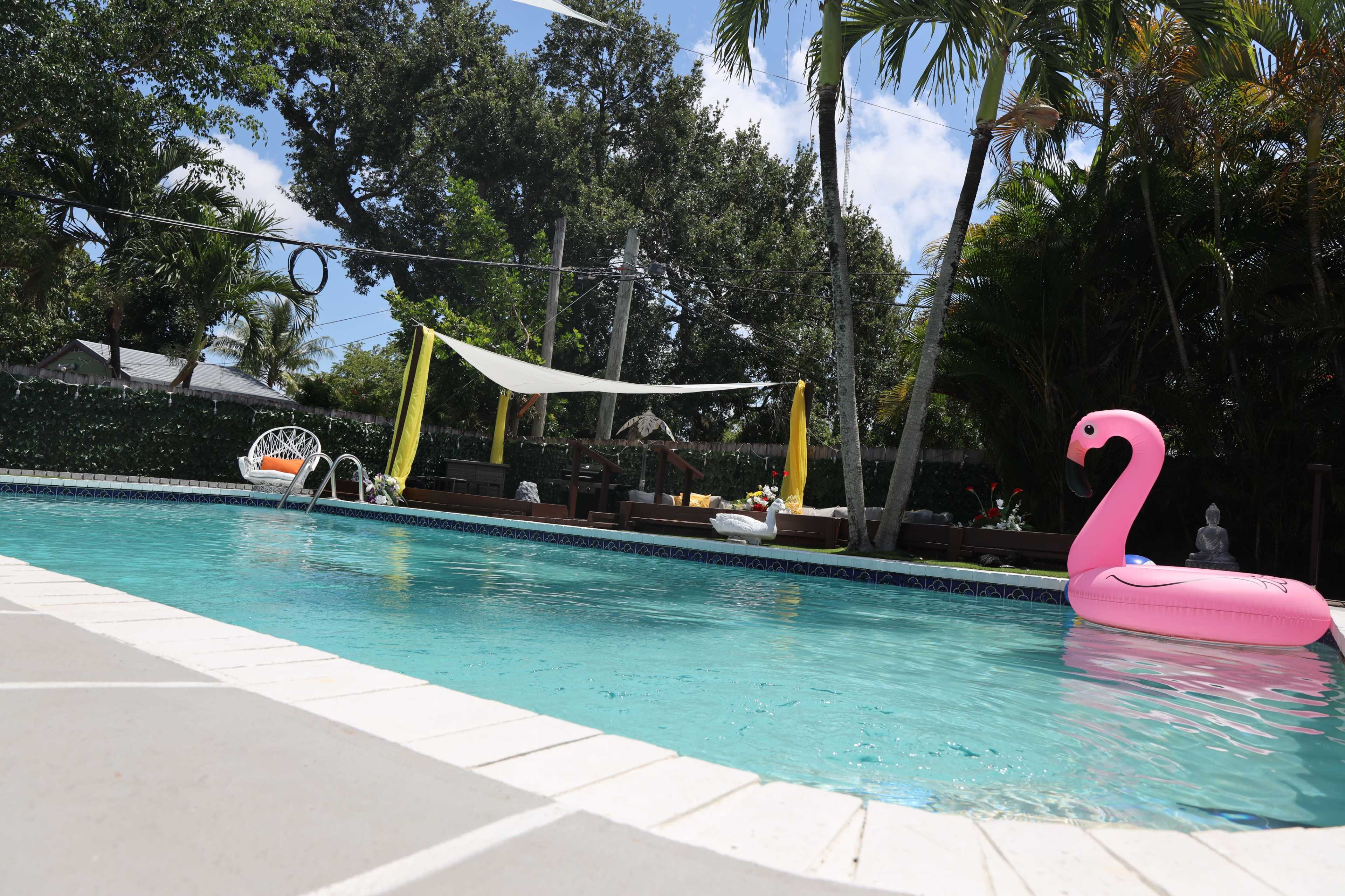 The image depicts a swimming pool surrounded by palm trees and a pink inflatable flamingo, with lounge chairs and a shaded sitting area in the background.