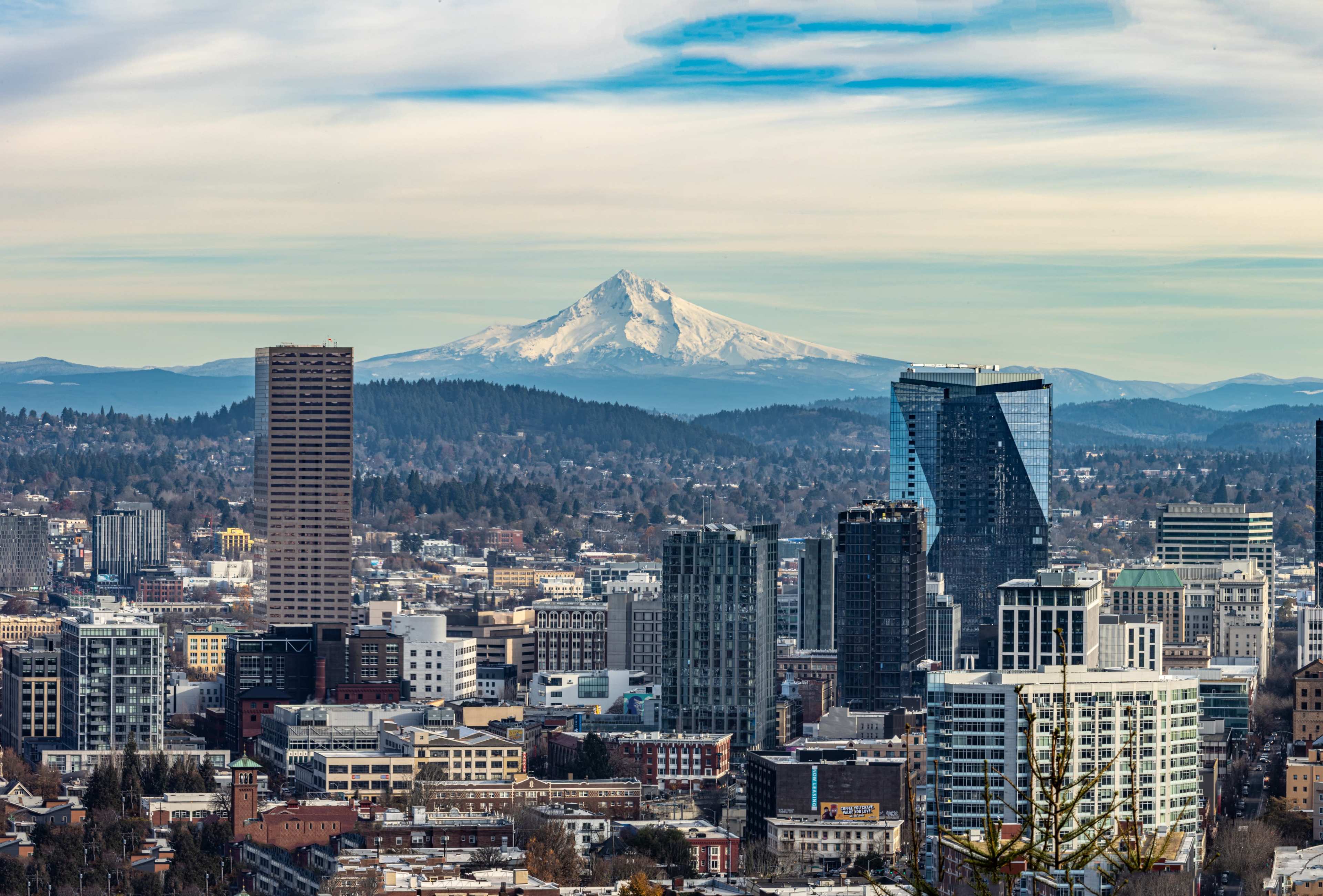 A panoramic view showcases a city skyline with tall buildings and a snow-capped mountain in the background under a blue sky.