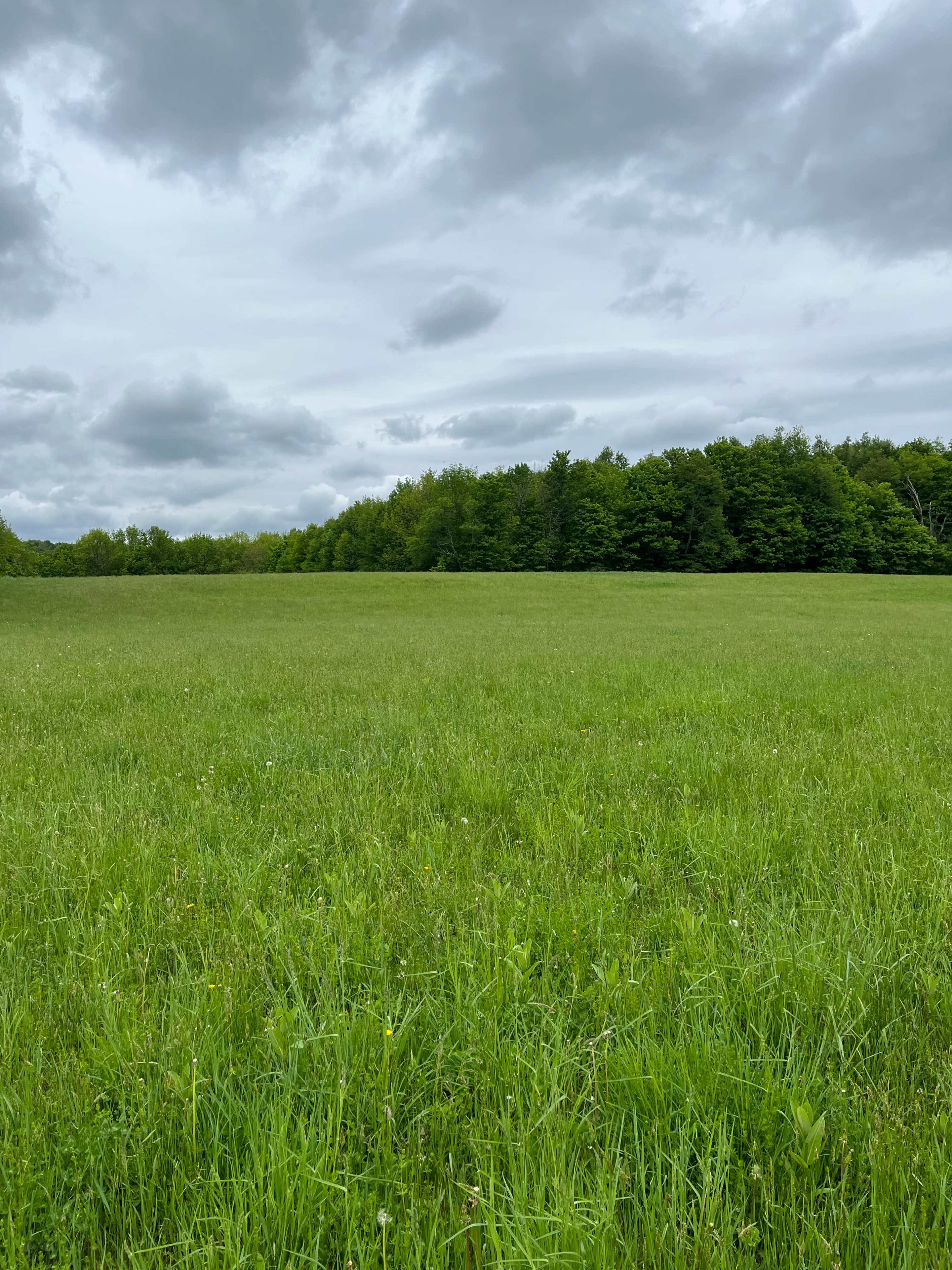 Farm, Fields and Forest in the Catskills Image in Liberty, Liberty, NY