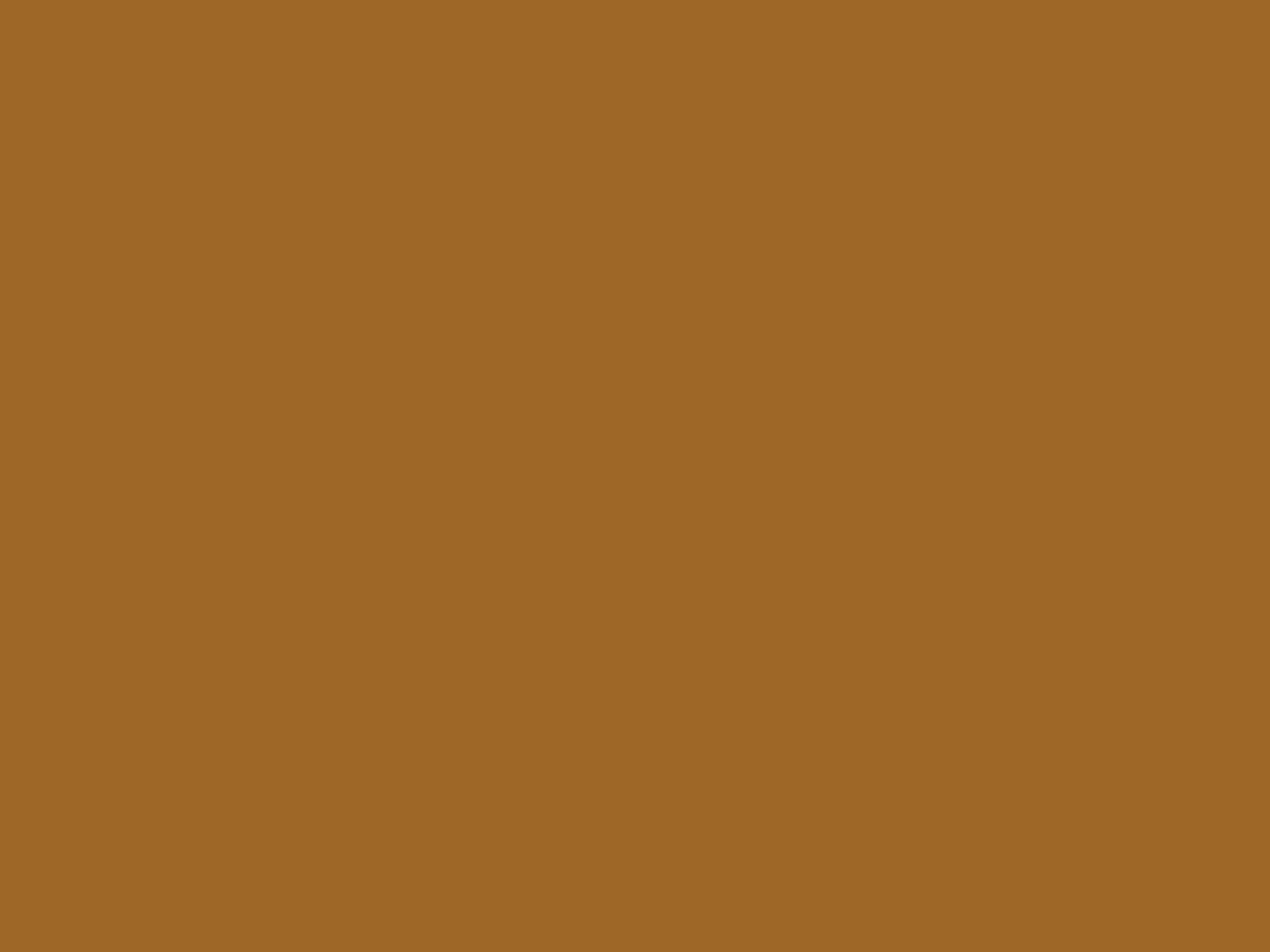 Cocoa Seamless Paper Backdrop