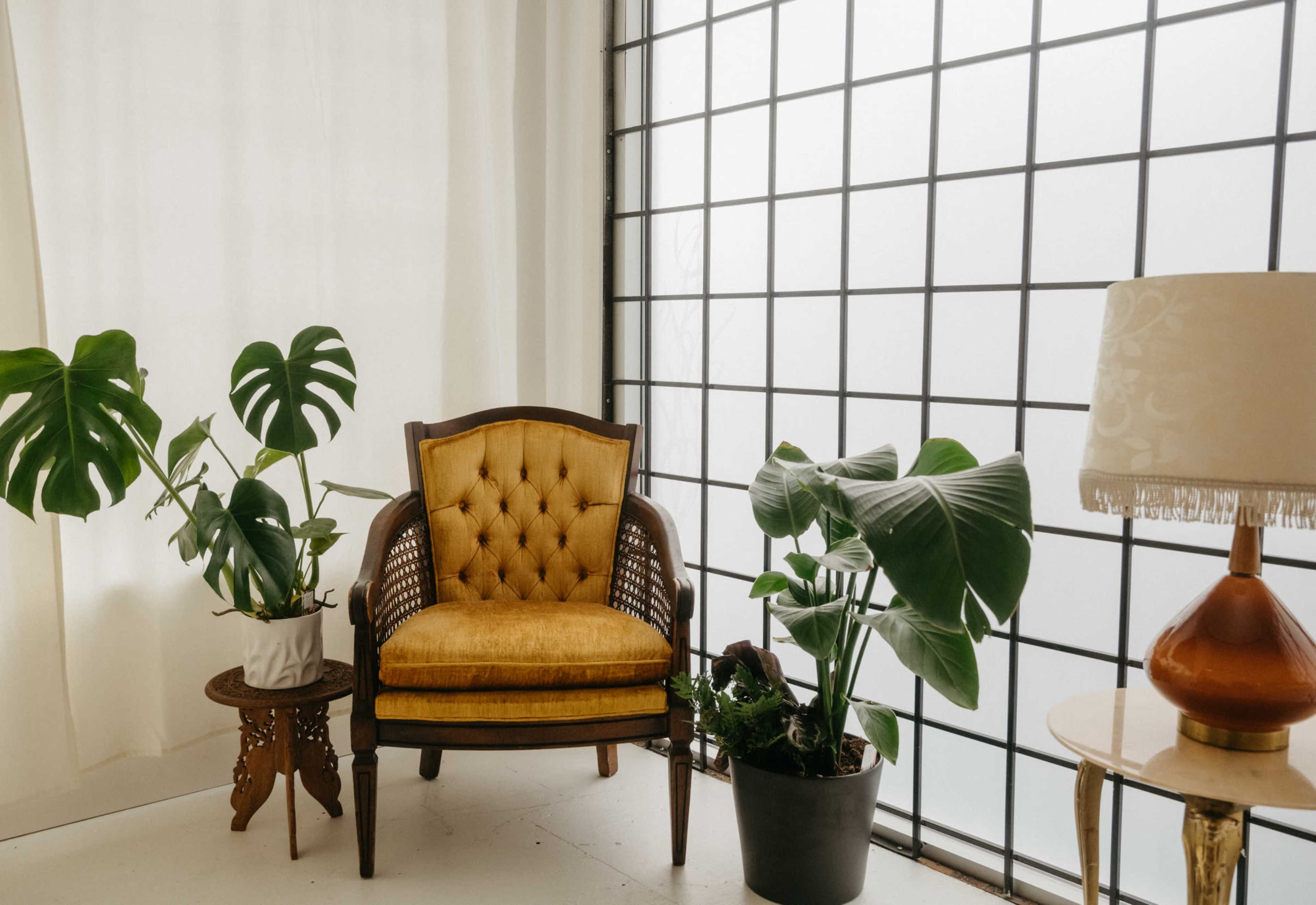 Light Mill Collective Image in Central Vancouver, Vancouver, BC