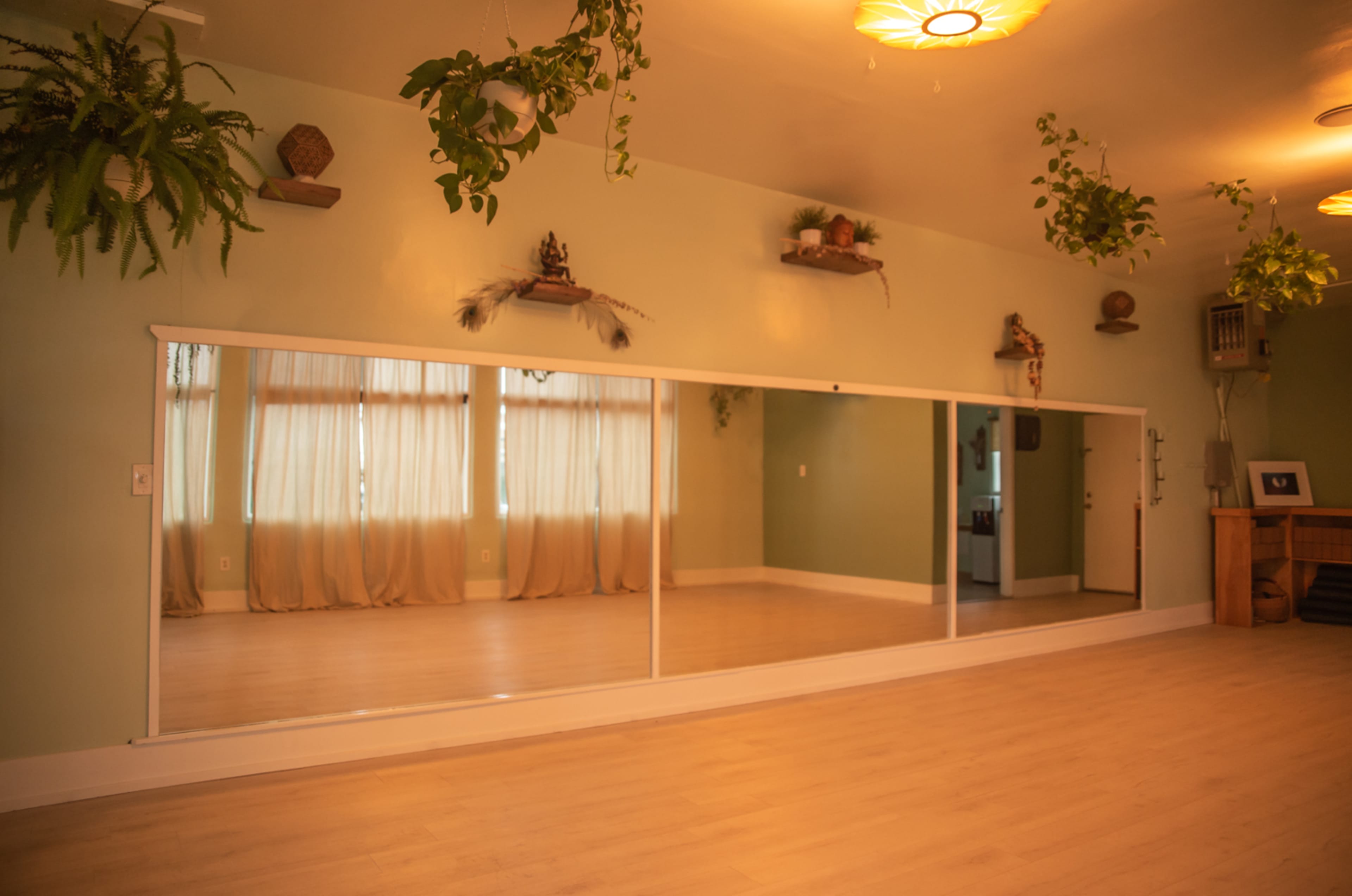 The image shows a spacious room with a large mirror along one wall, soft lighting, and various plants positioned on shelves.