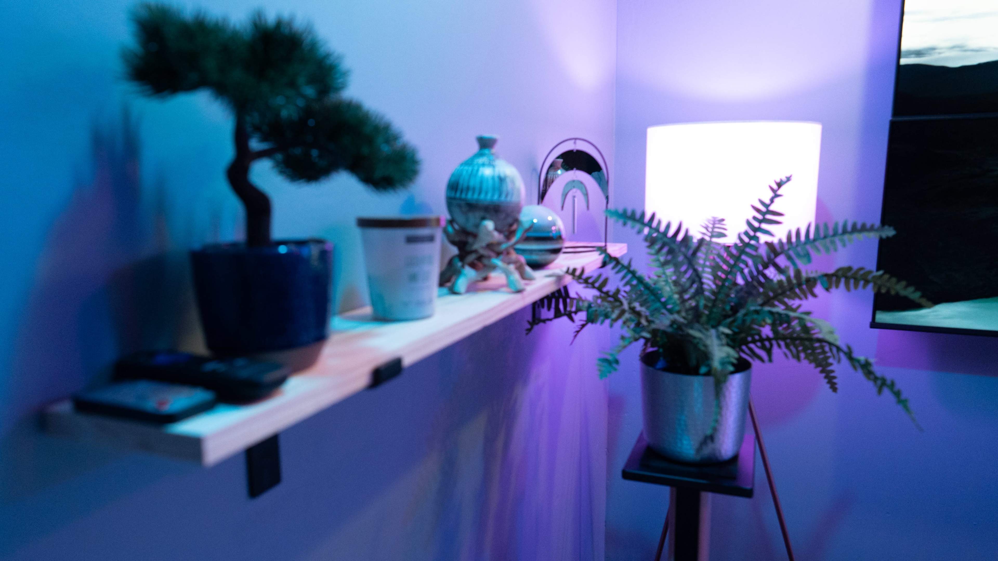 A shelf displaying a bonsai tree, decorative vase, and a fern, alongside a lamp, is set against a softly lit wall.