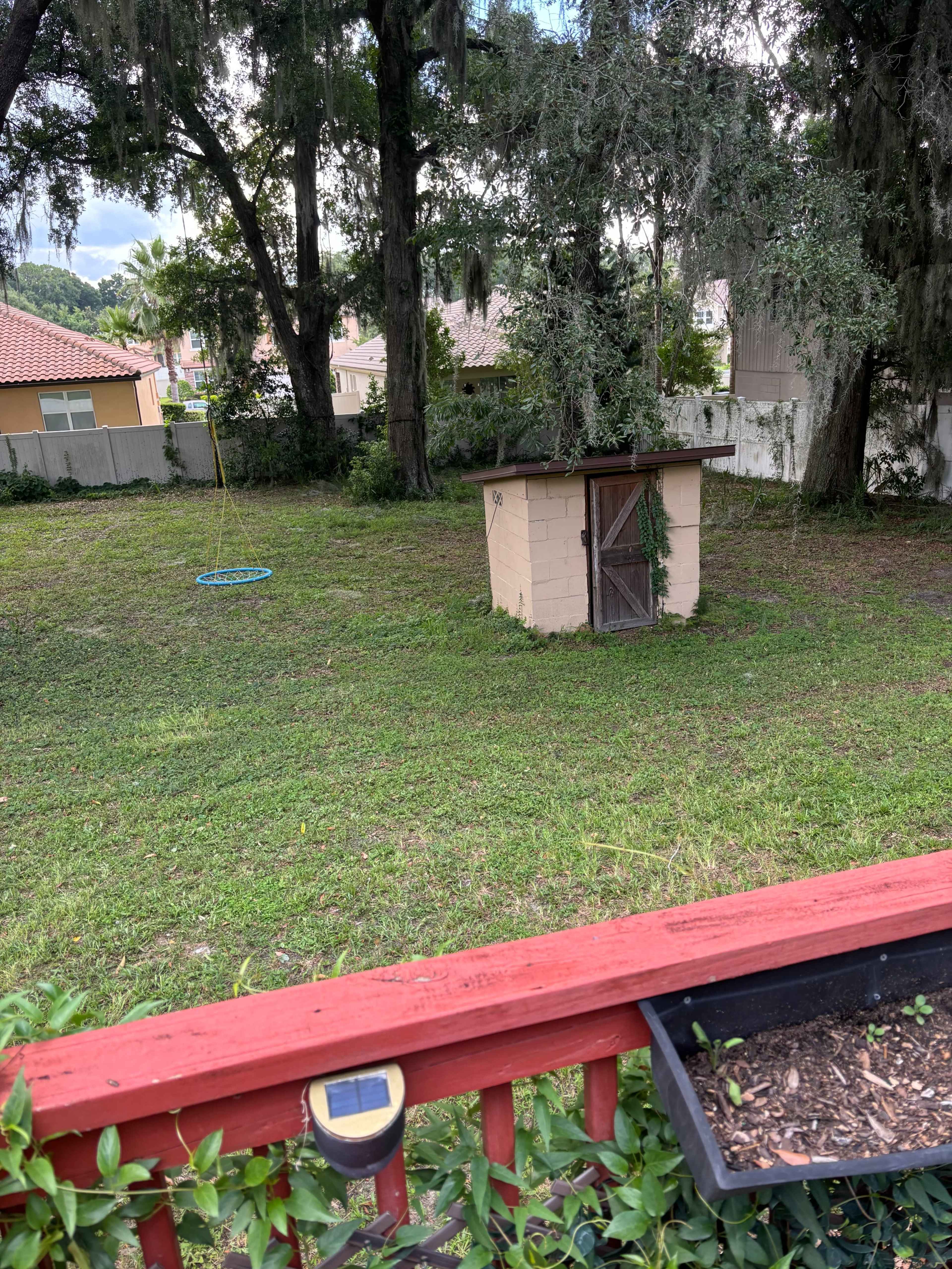 The image shows a backyard with a small shed, a swing hanging from a tree, and grassy green space bordered by some trees and houses in the background.