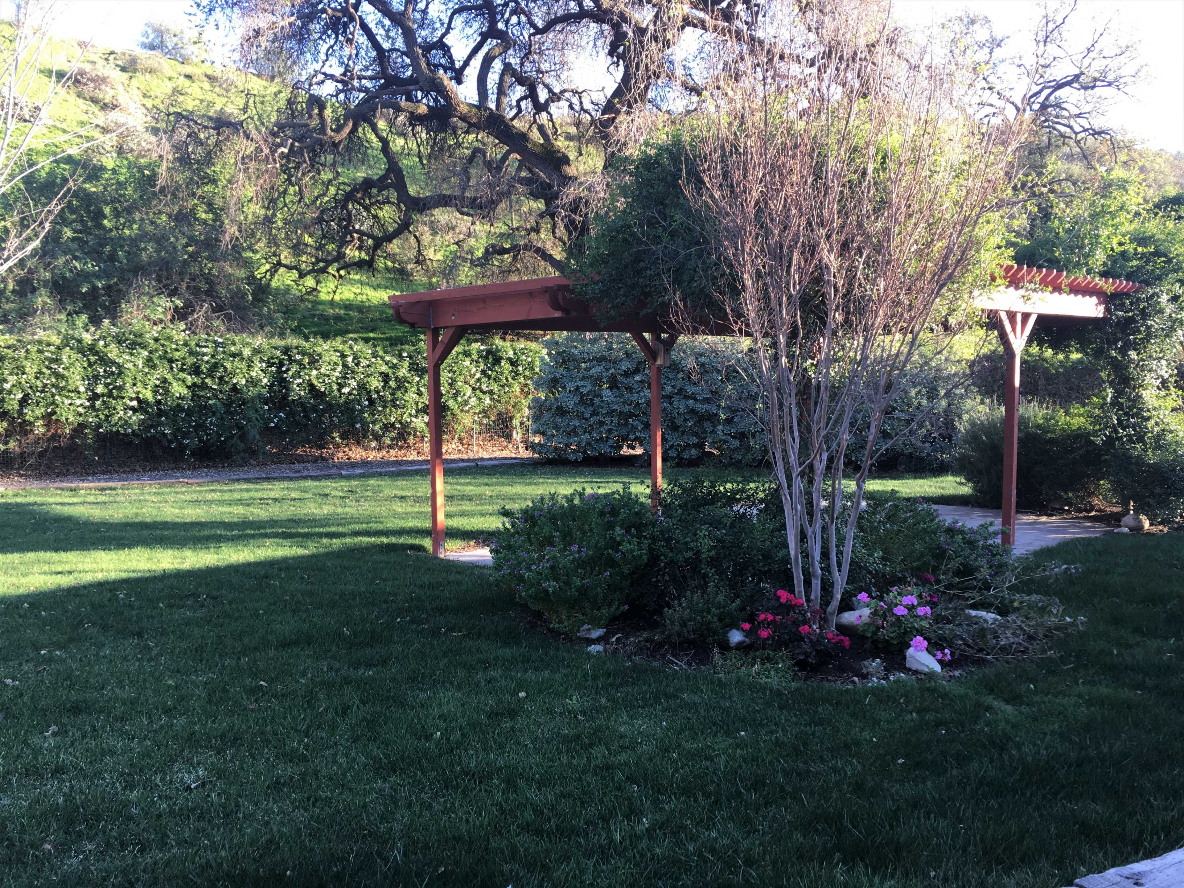 A landscaped yard with a wooden gazebo surrounded by various shrubs and flowers.