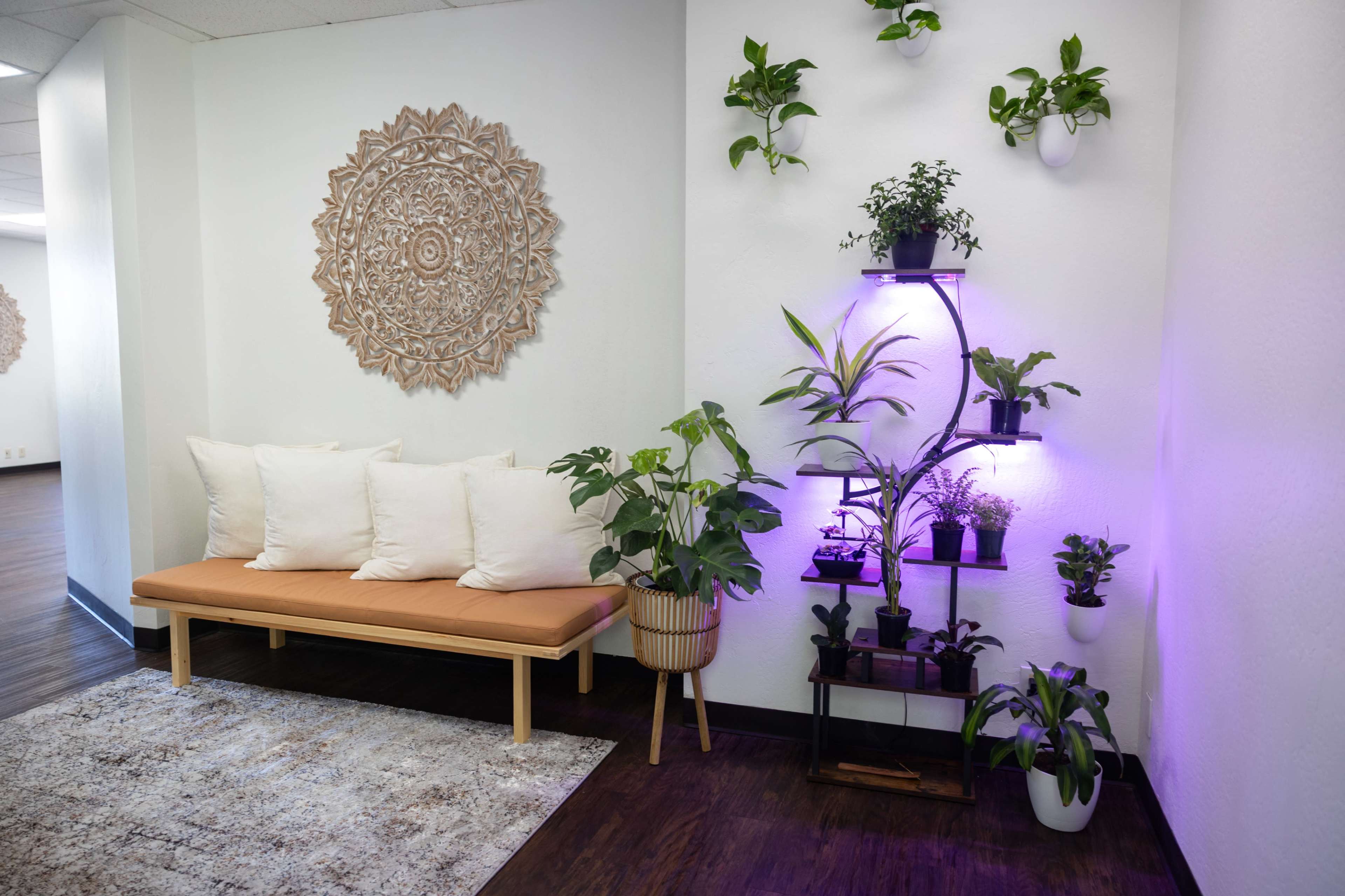 Versatile Serene Central San Diego Studio Image in Sorrento Valley, San Diego, CA