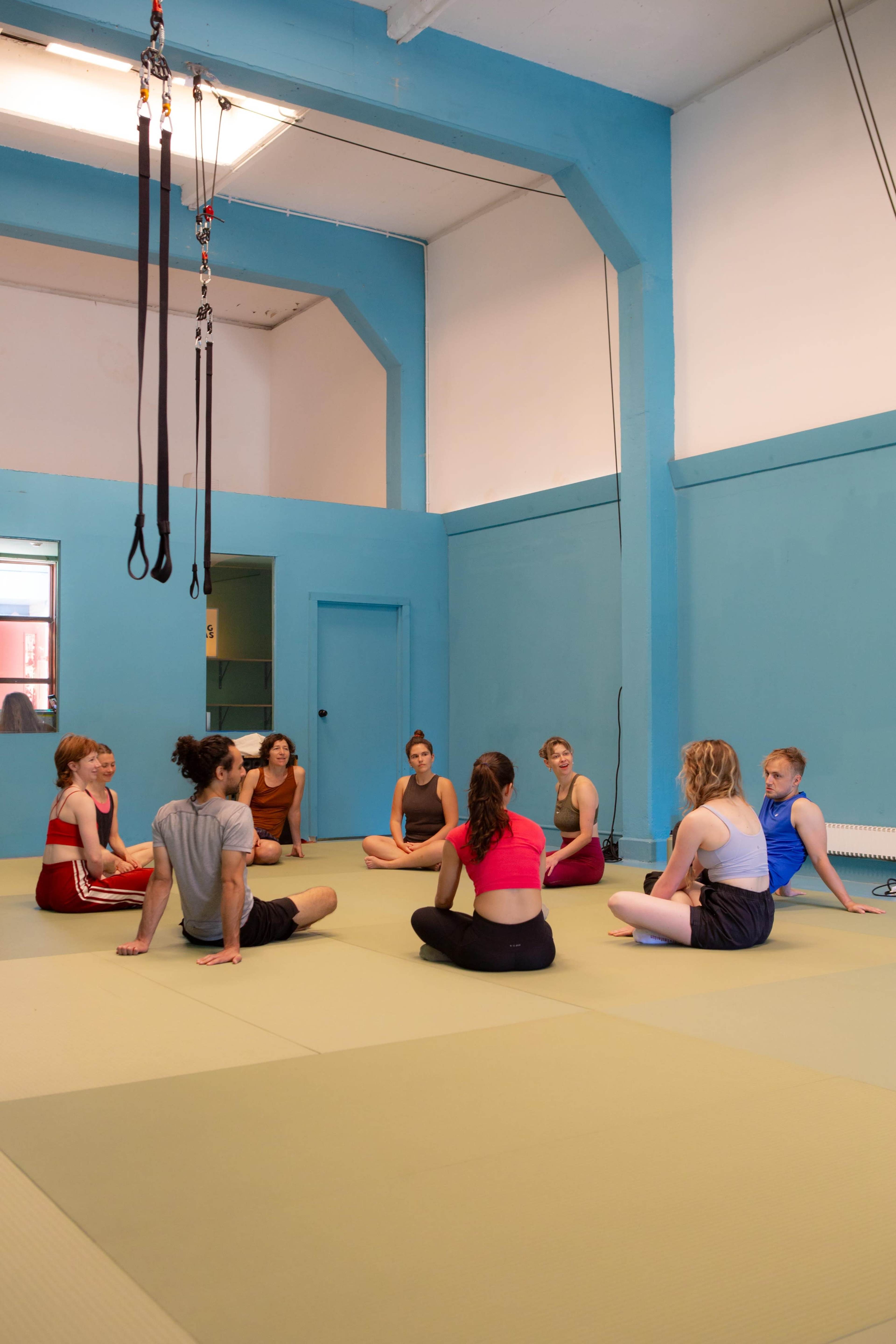 A group of eight people sits in a circle on a mat in a blue-painted room with exercise equipment hanging from the ceiling.
