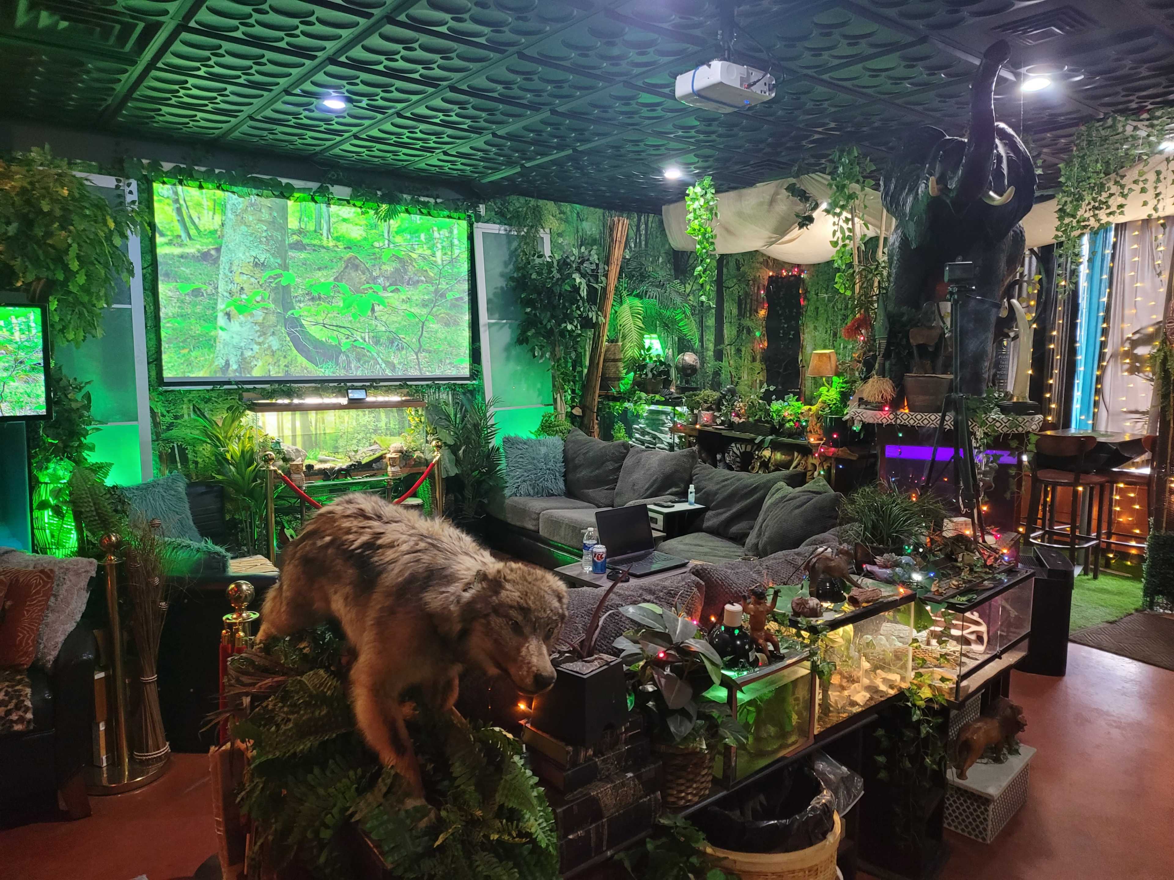 A richly decorated room featuring lush greenery, a mounted animal head, and a large screen displaying a forest scene.