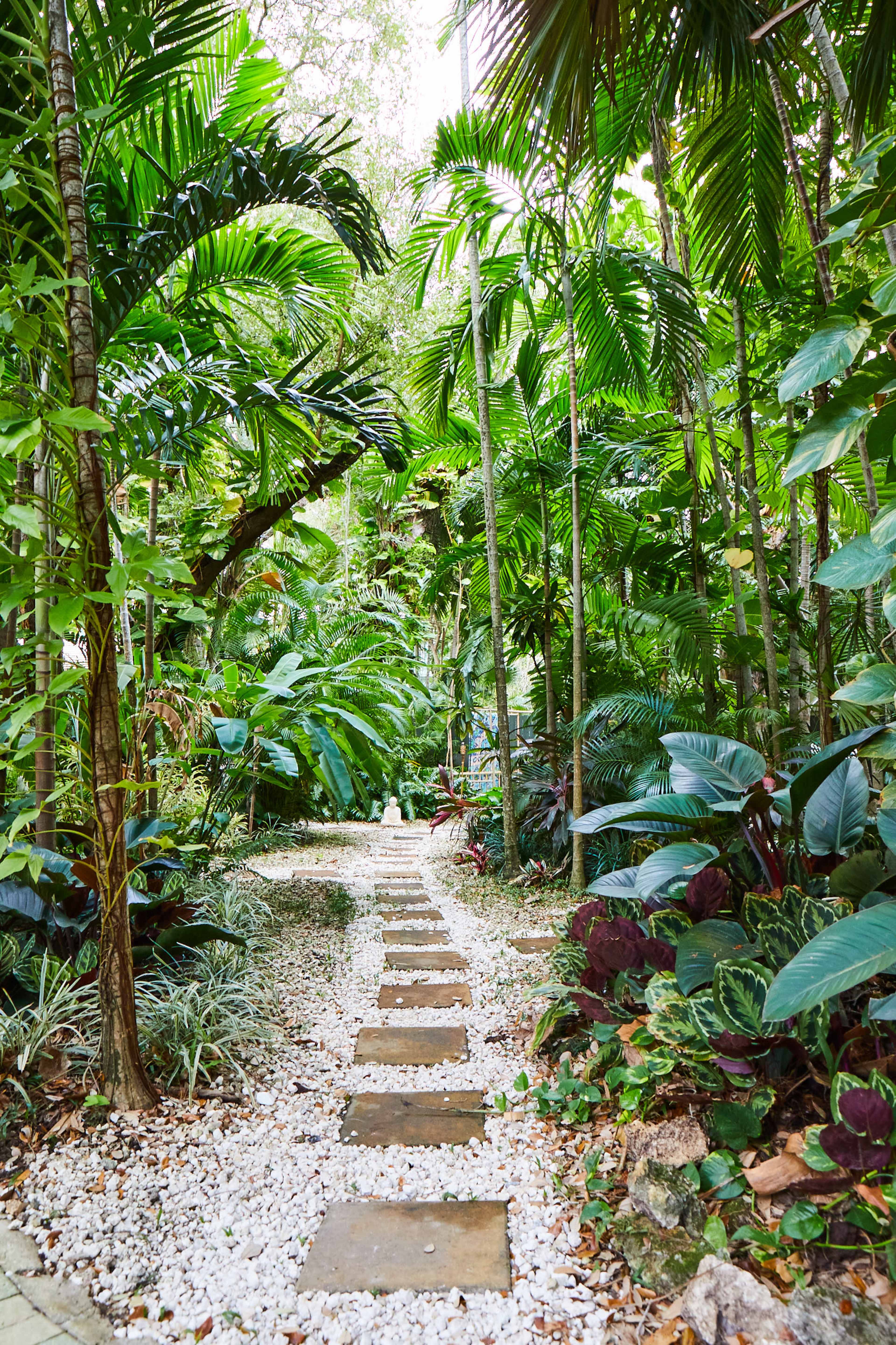 A stone path lined with white pebbles leads through a dense tropical garden filled with lush green plants.