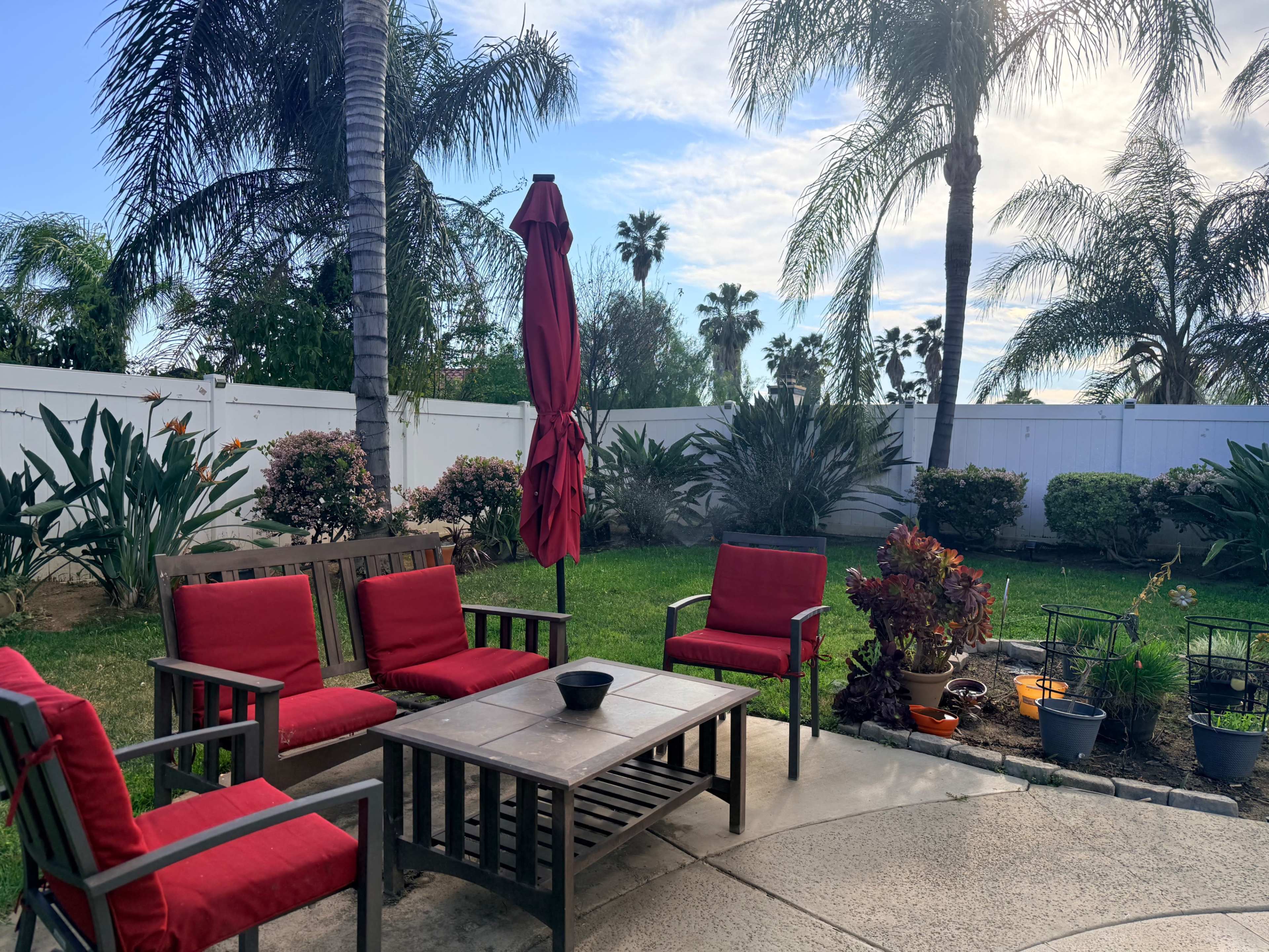 A patio area features red cushioned chairs and a table, surrounded by palm trees and various plants under a partly cloudy sky.