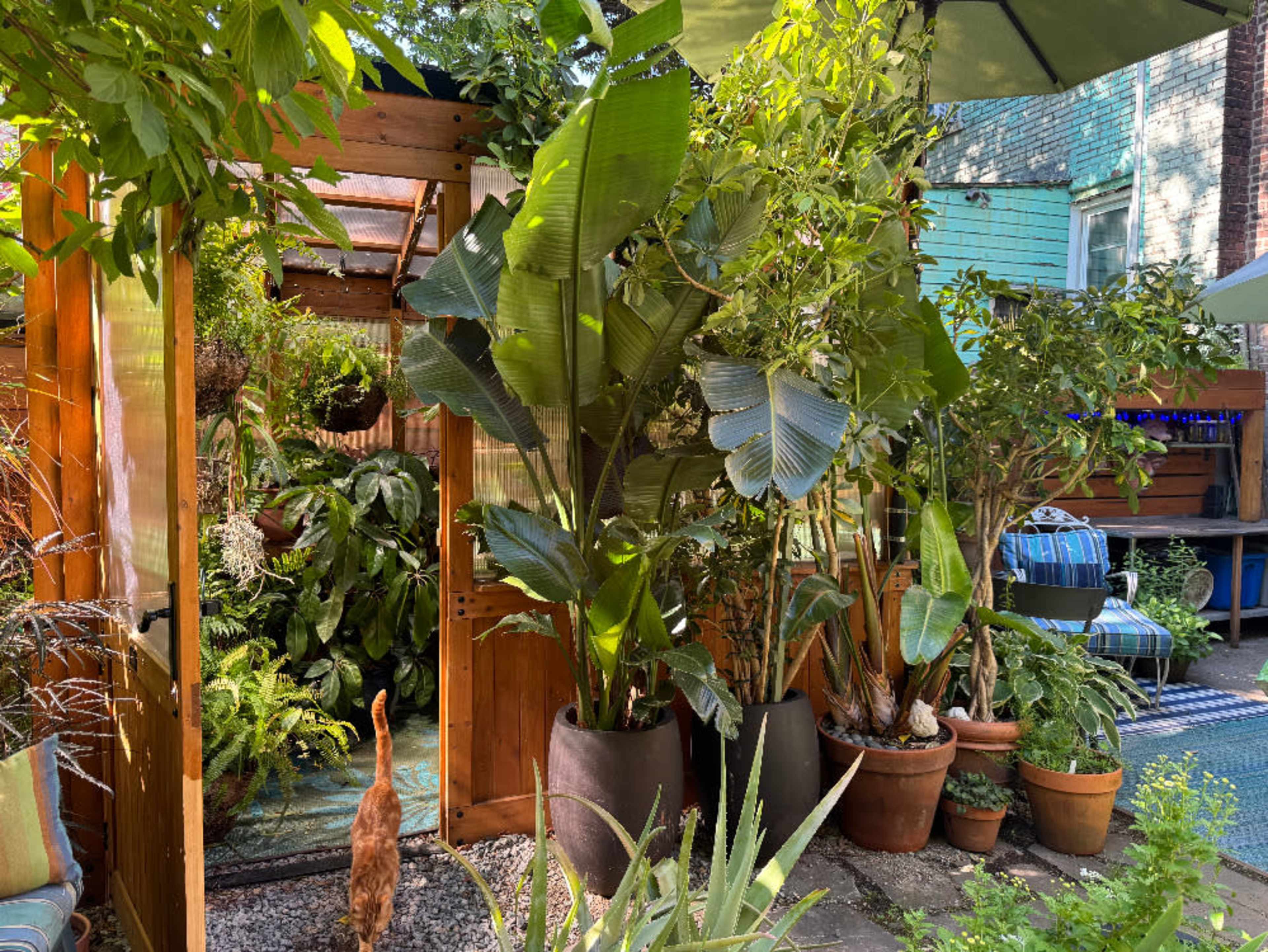 Plants