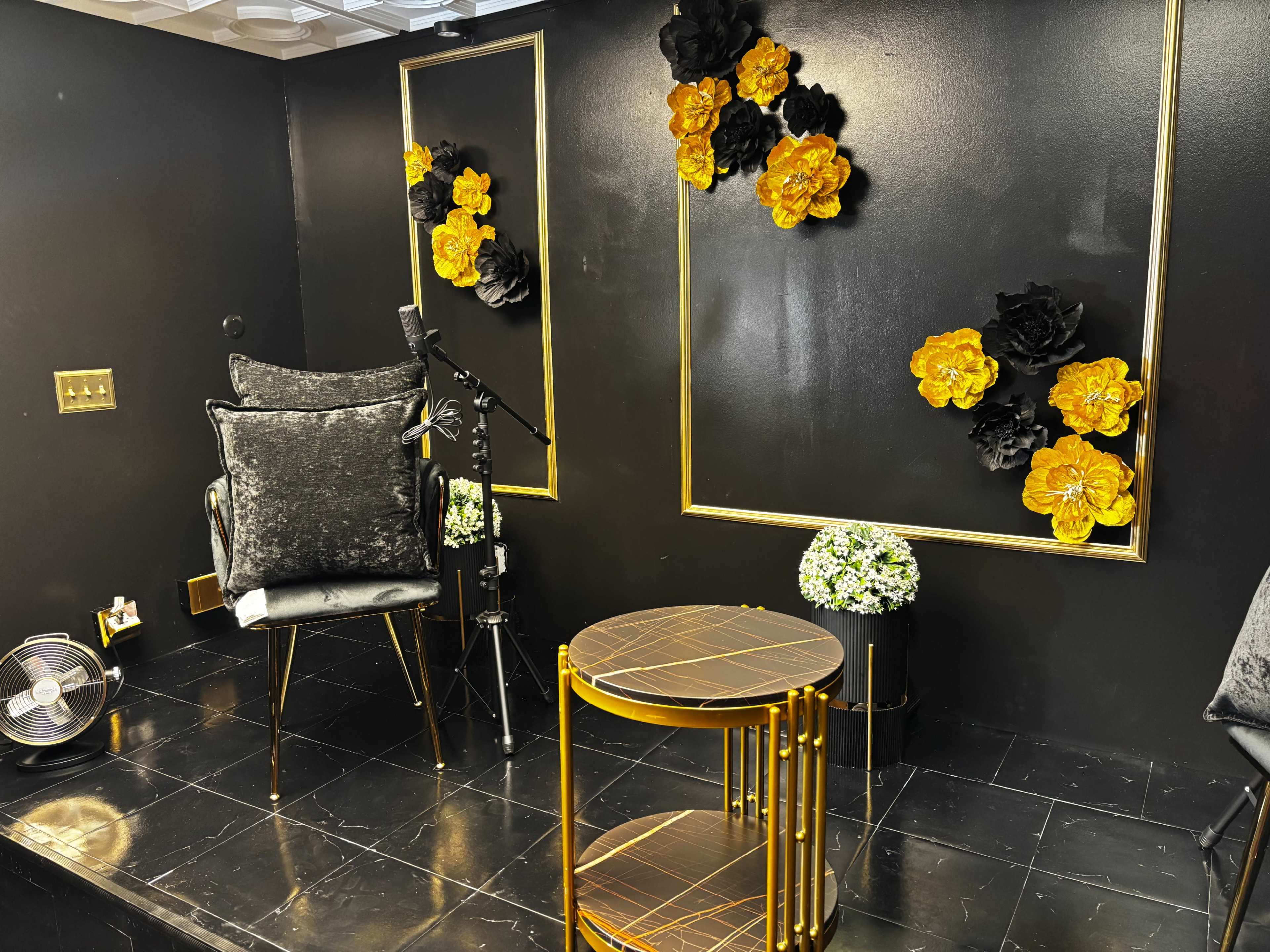 Luxury Podcast Room Image in Broad Ripple, Indianapolis, IN
