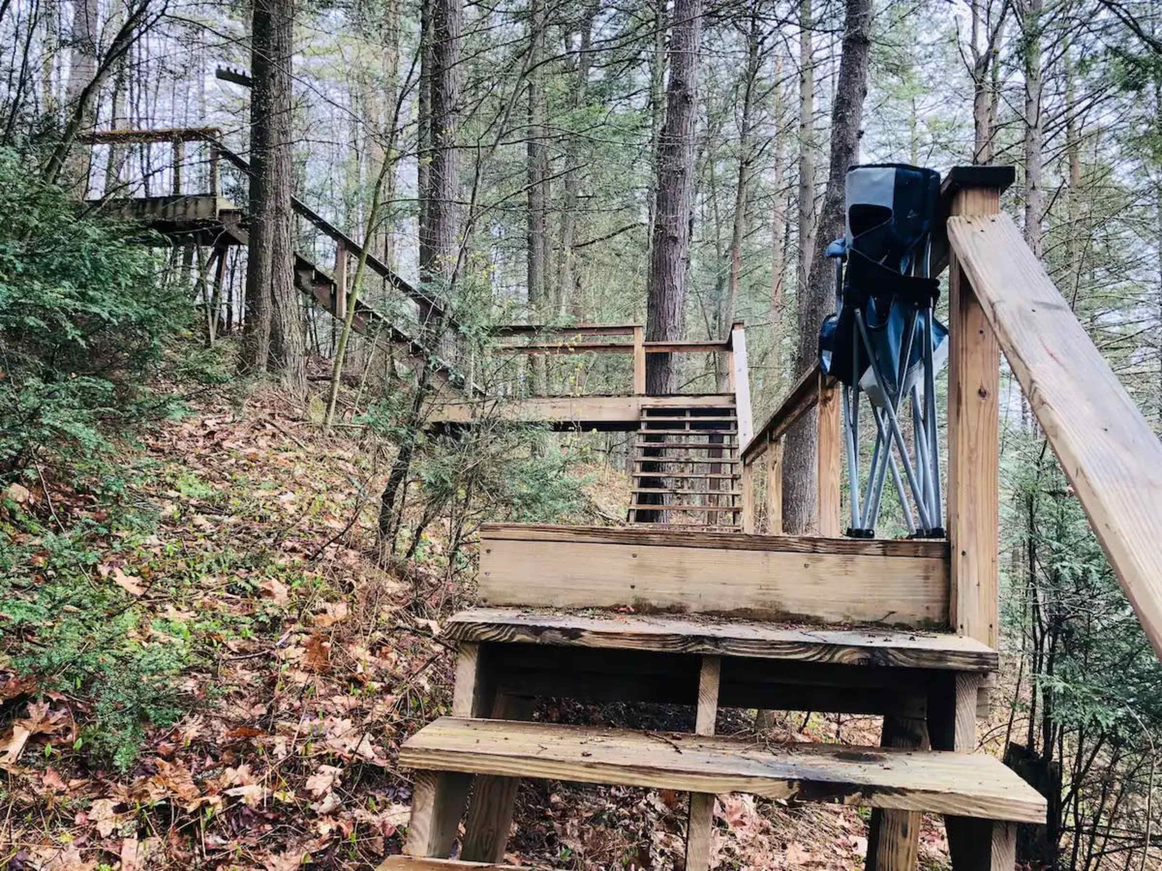 A set of wooden stairs ascends through a forested area, leading to an elevated platform.