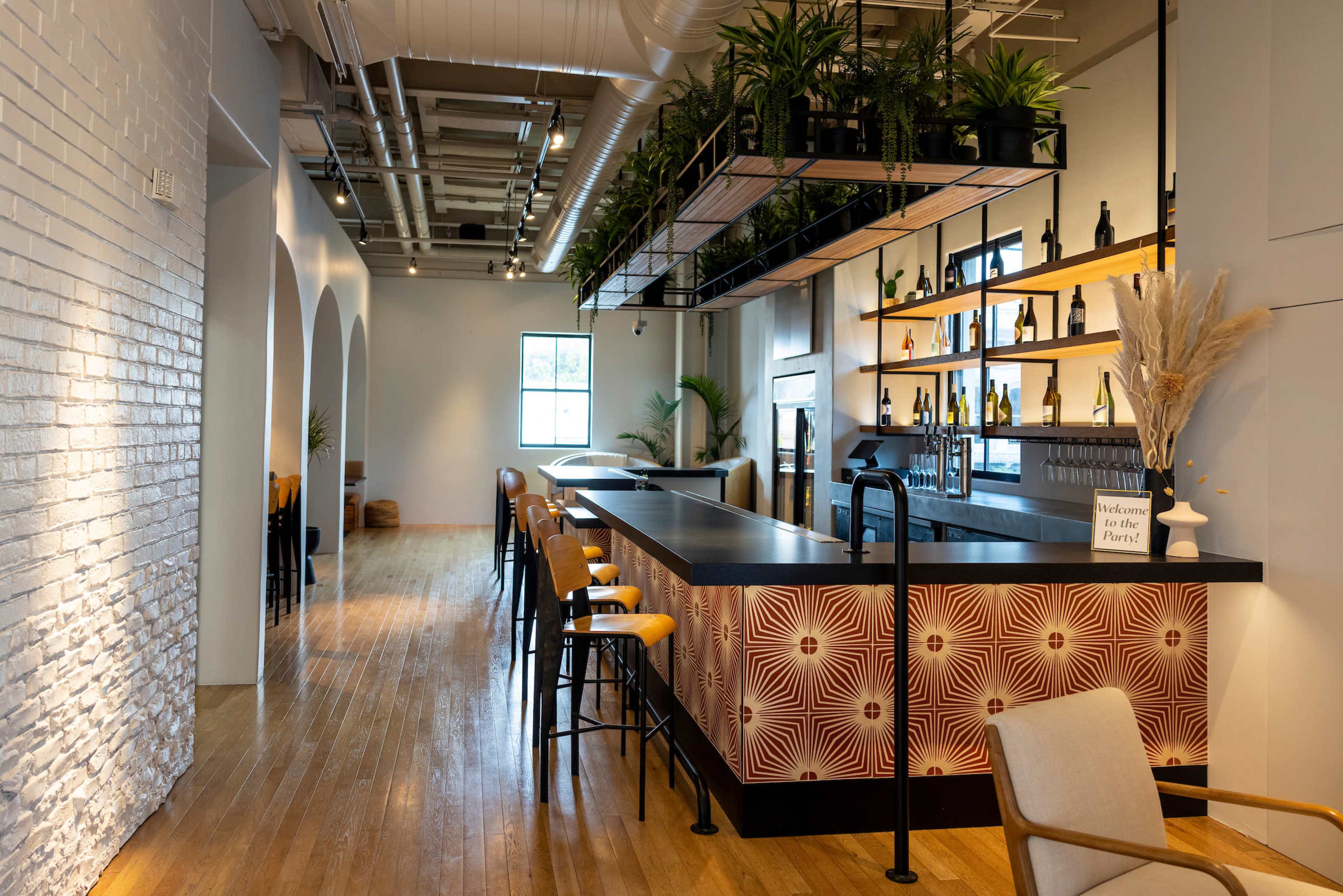 A spacious bar area features a long counter with seating, surrounded by plants and shelves displaying bottles.