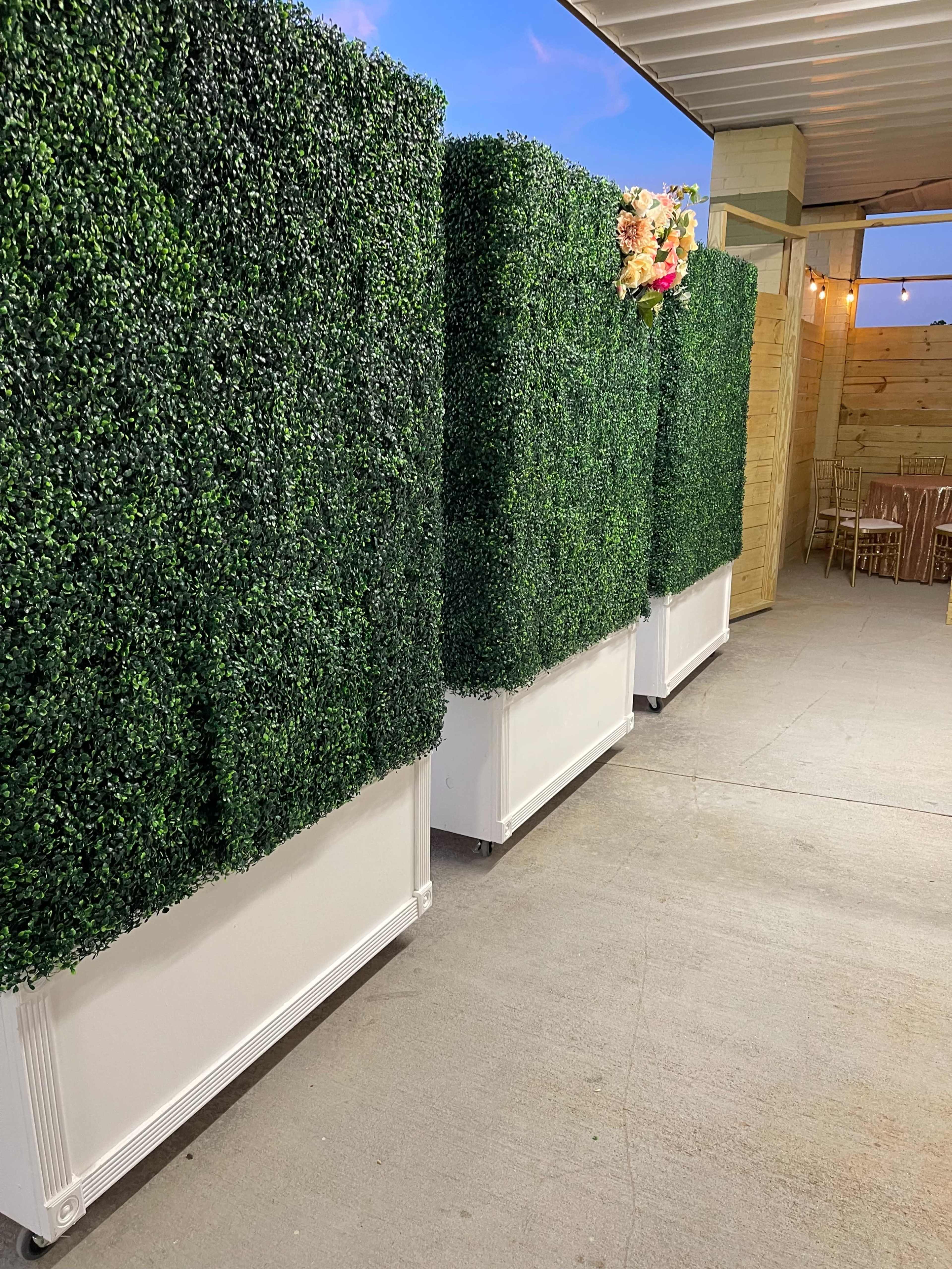 Three large, rectangular planters filled with dense green hedges, placed along a concrete floor in an outdoor setting.