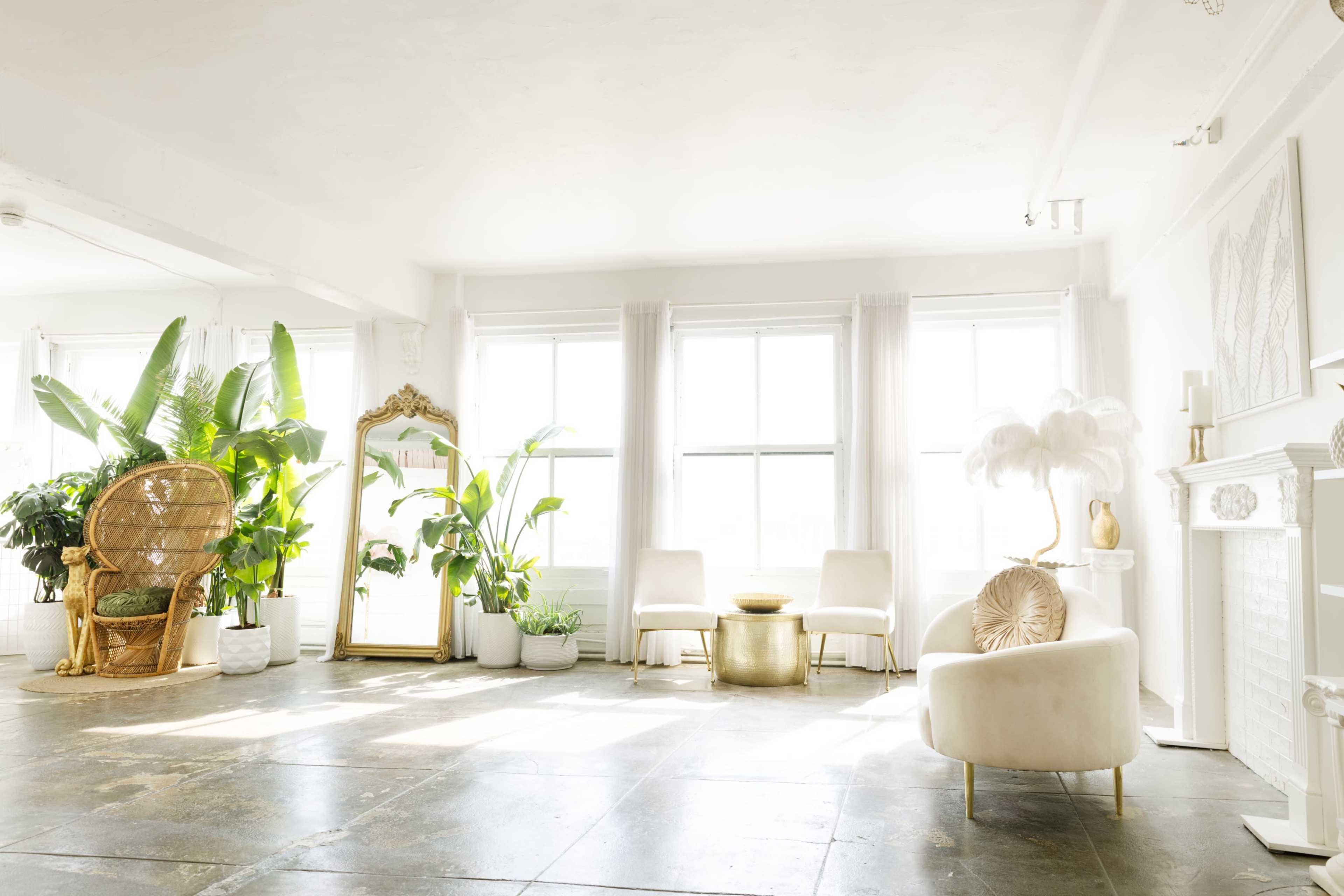 A bright and airy room features large windows, potted plants, a decorative mirror, and minimalist furniture.