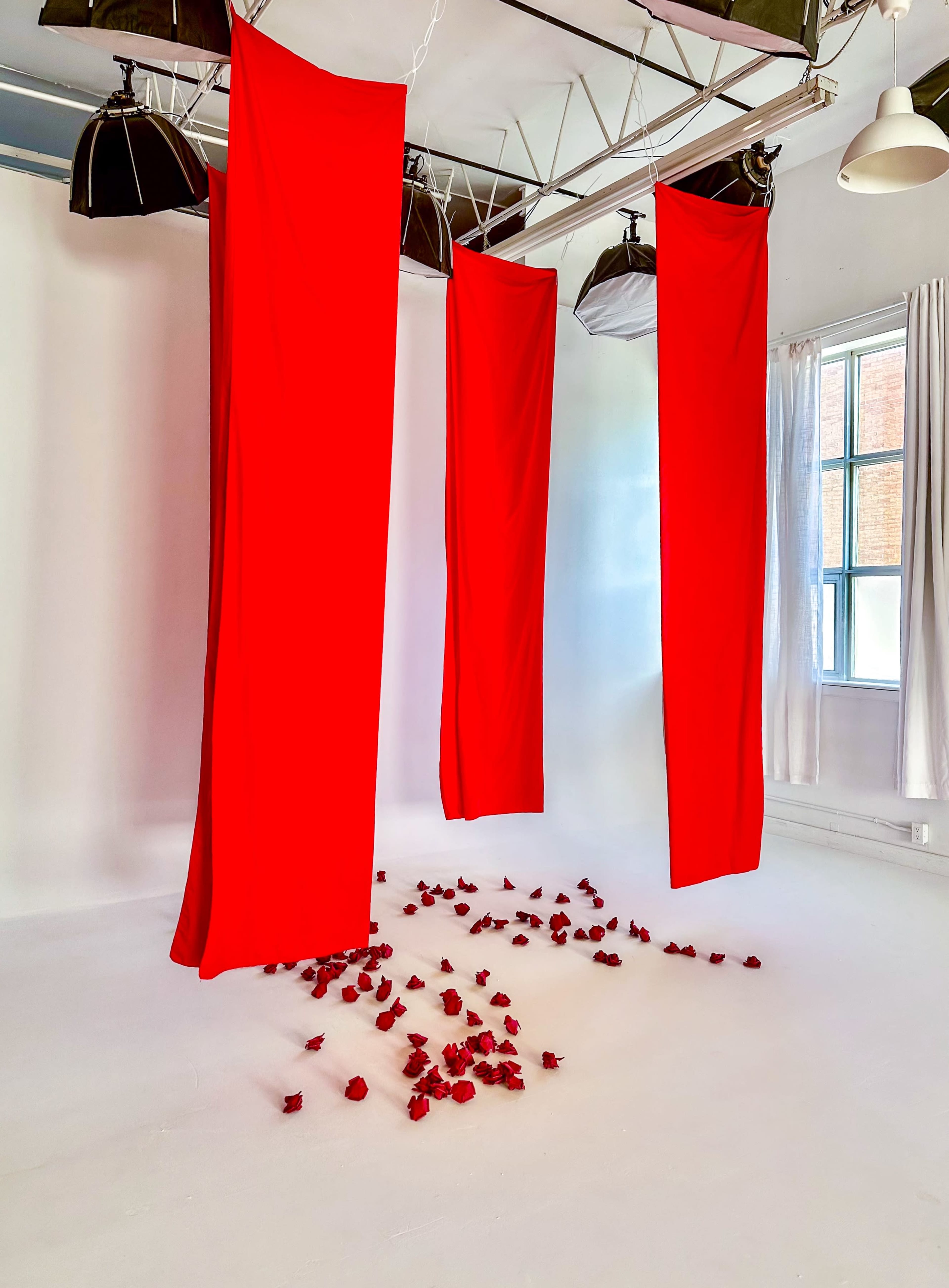Three red fabric panels hang vertically in a white studio space, with scattered rose petals on the floor beneath them.