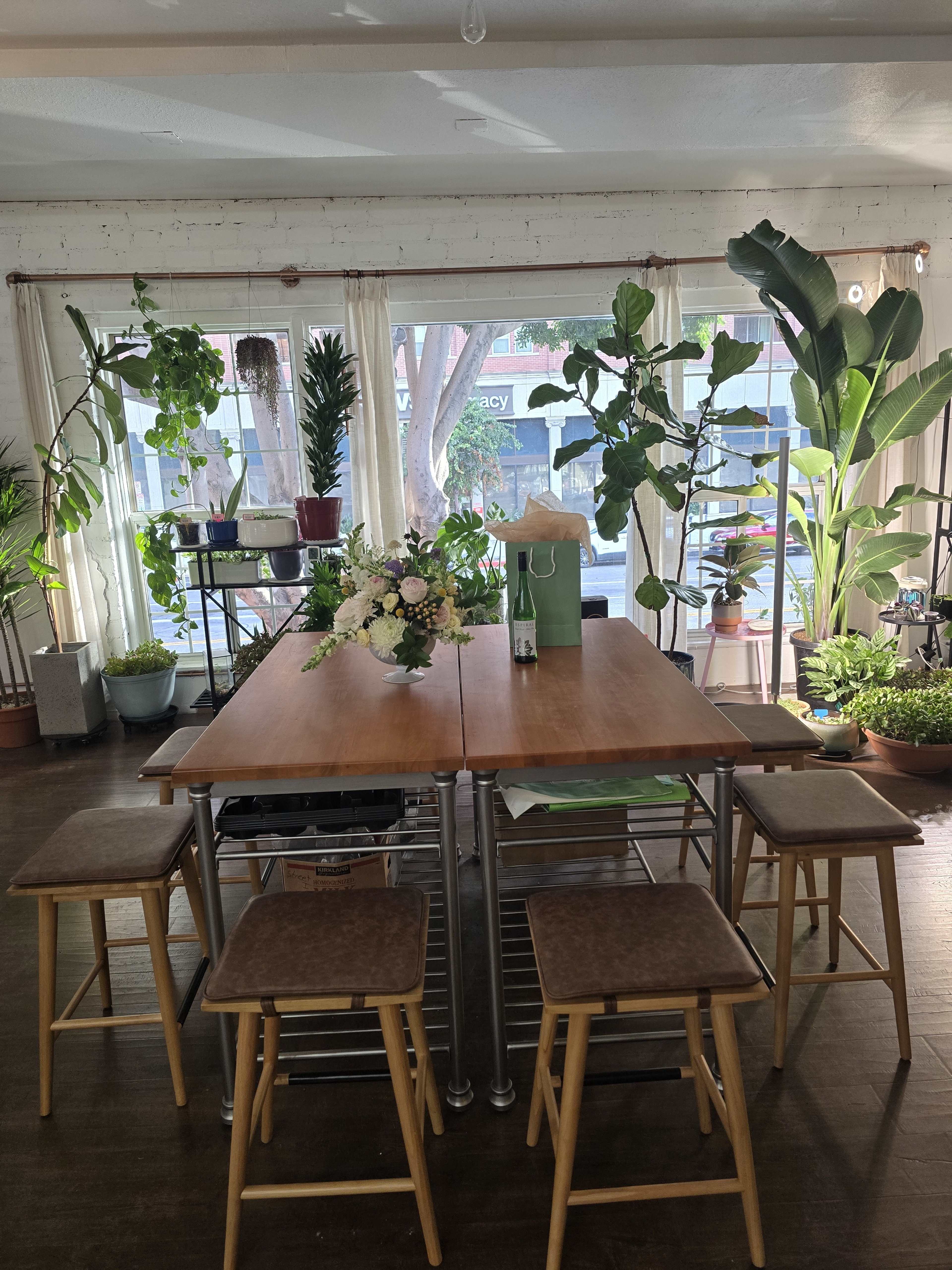 A wooden dining table with five stools is set in a sunlit room surrounded by various potted plants.