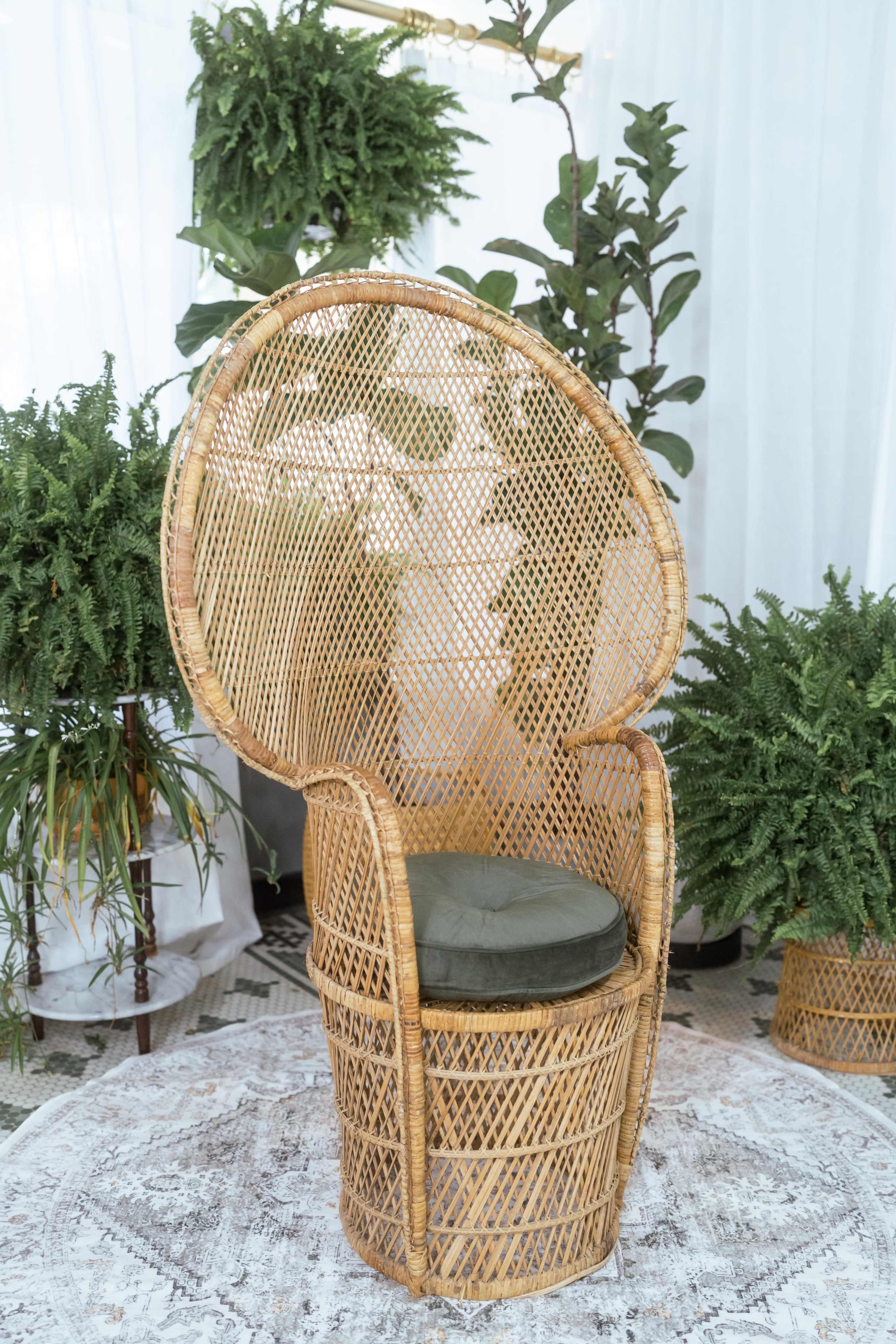 The image features a rattan chair with a high, curved backrest and a green cushion, surrounded by various indoor plants.