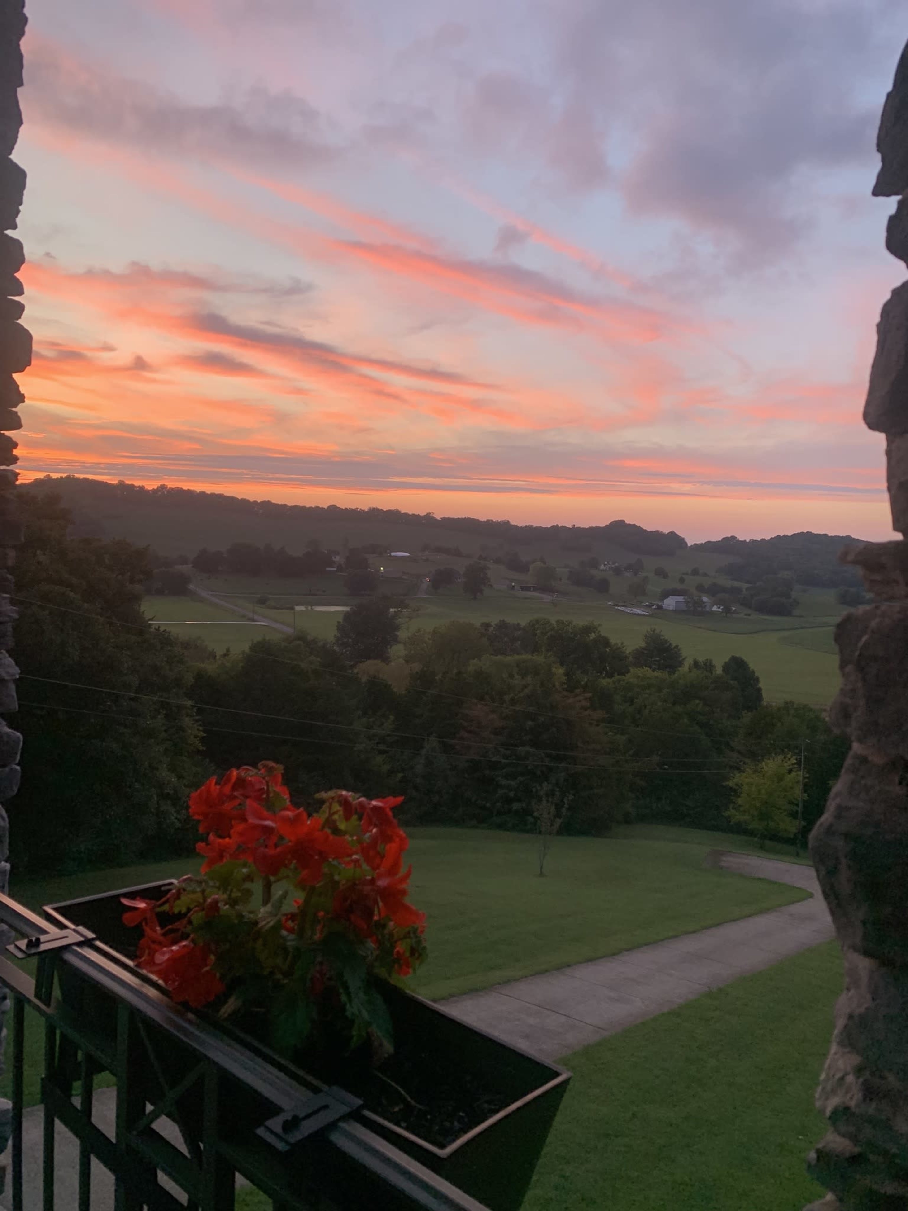 A flower box with red flowers frames a view of a colorful sunset over rolling hills and fields.