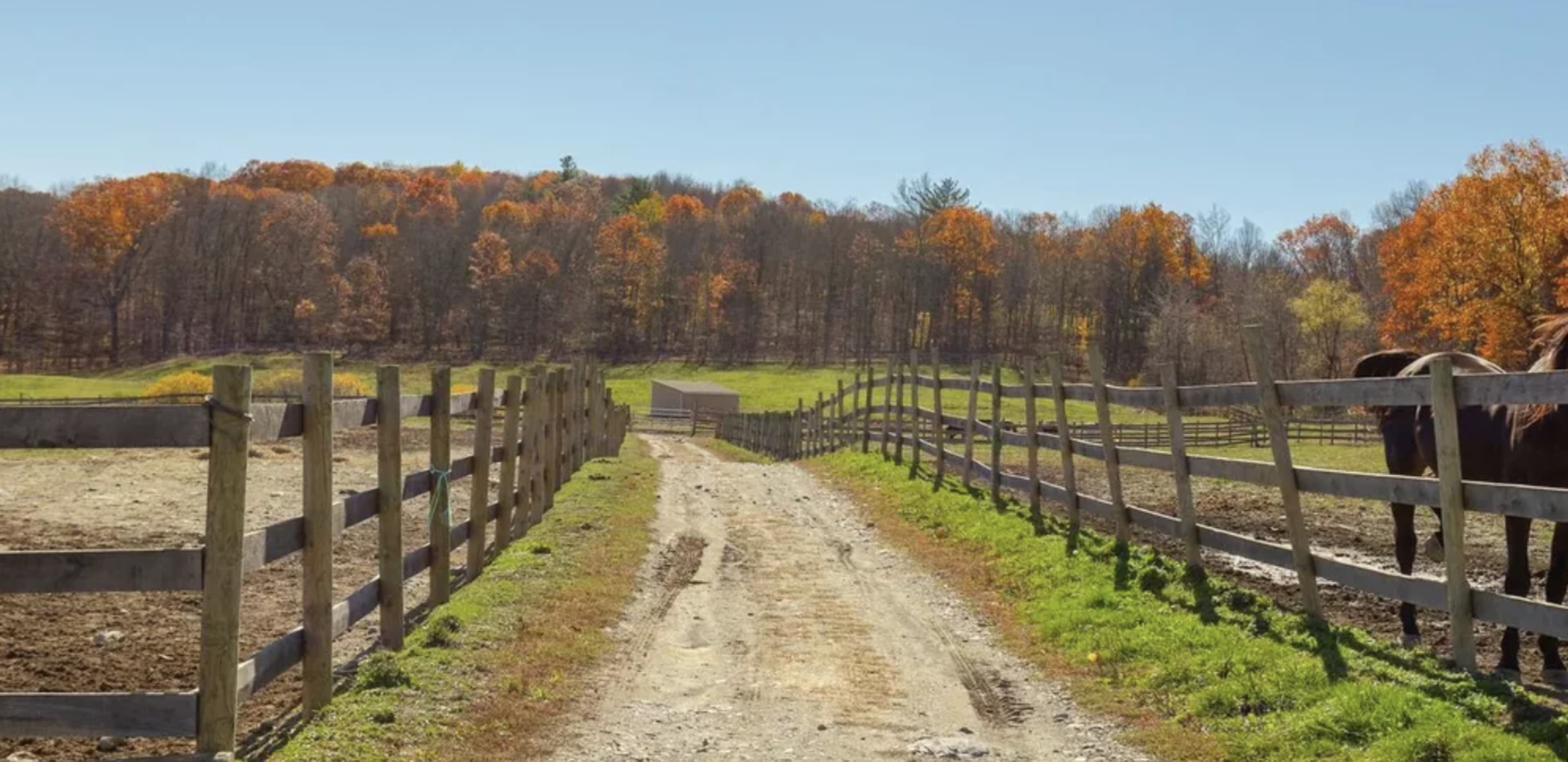 Barns, country setting, pond and Turn of the century larg home Image in Stanford, Stanfordville, NY