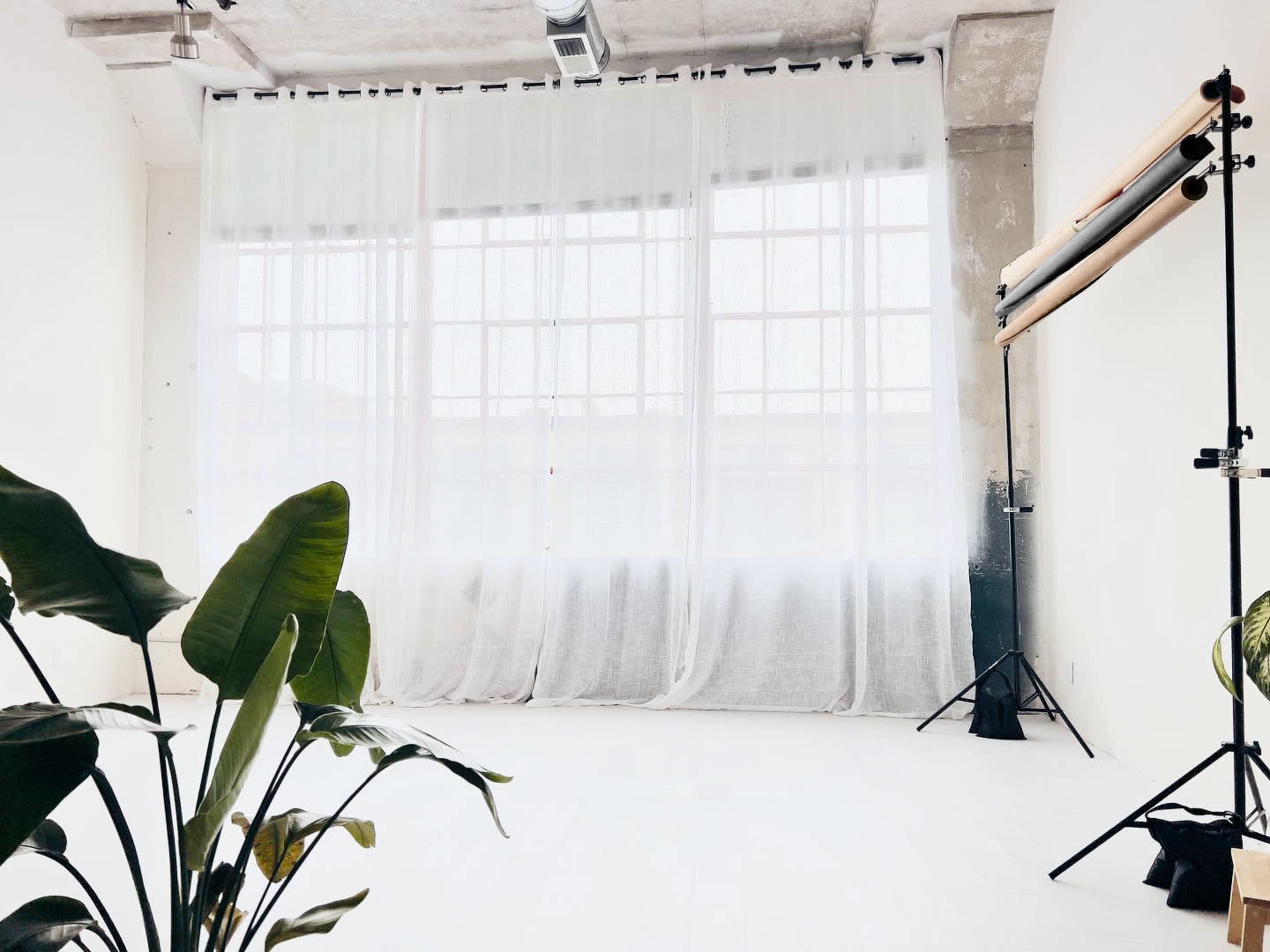 A bright, minimalistic space features large windows covered with sheer white curtains, potted plants, and a lighting setup on a stand.