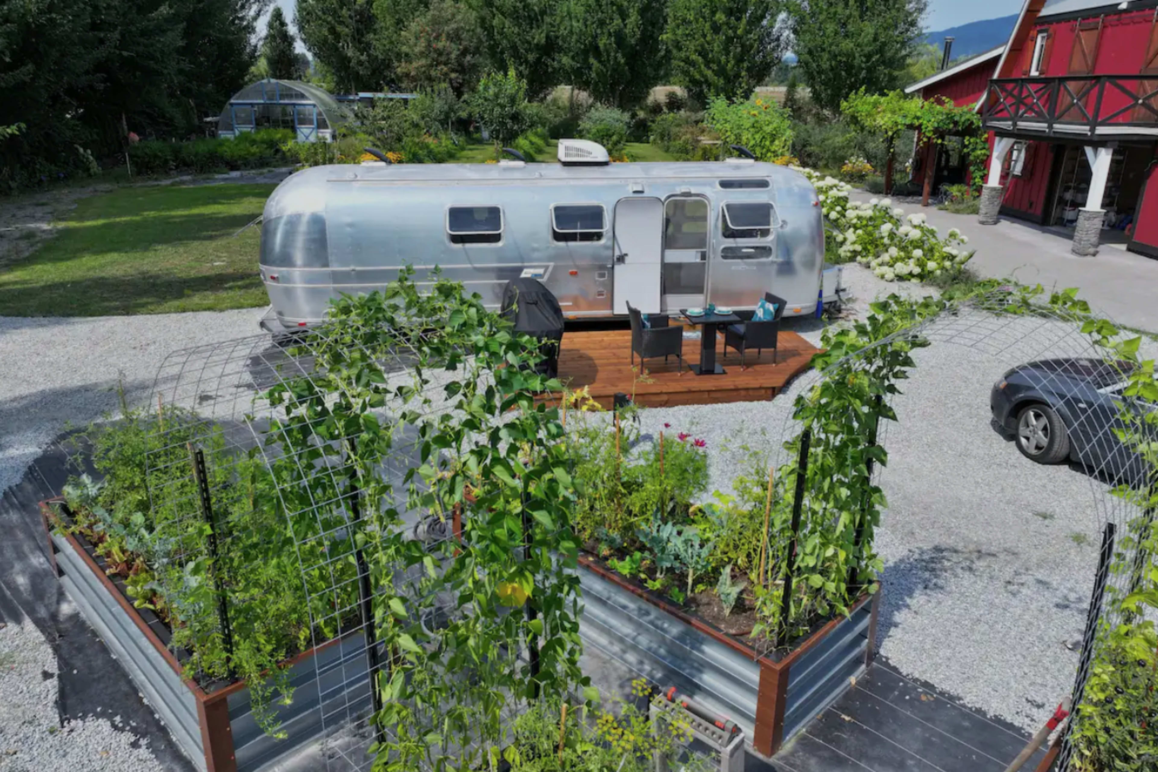 An Airstream trailer is parked near raised garden beds filled with various plants and vegetables.