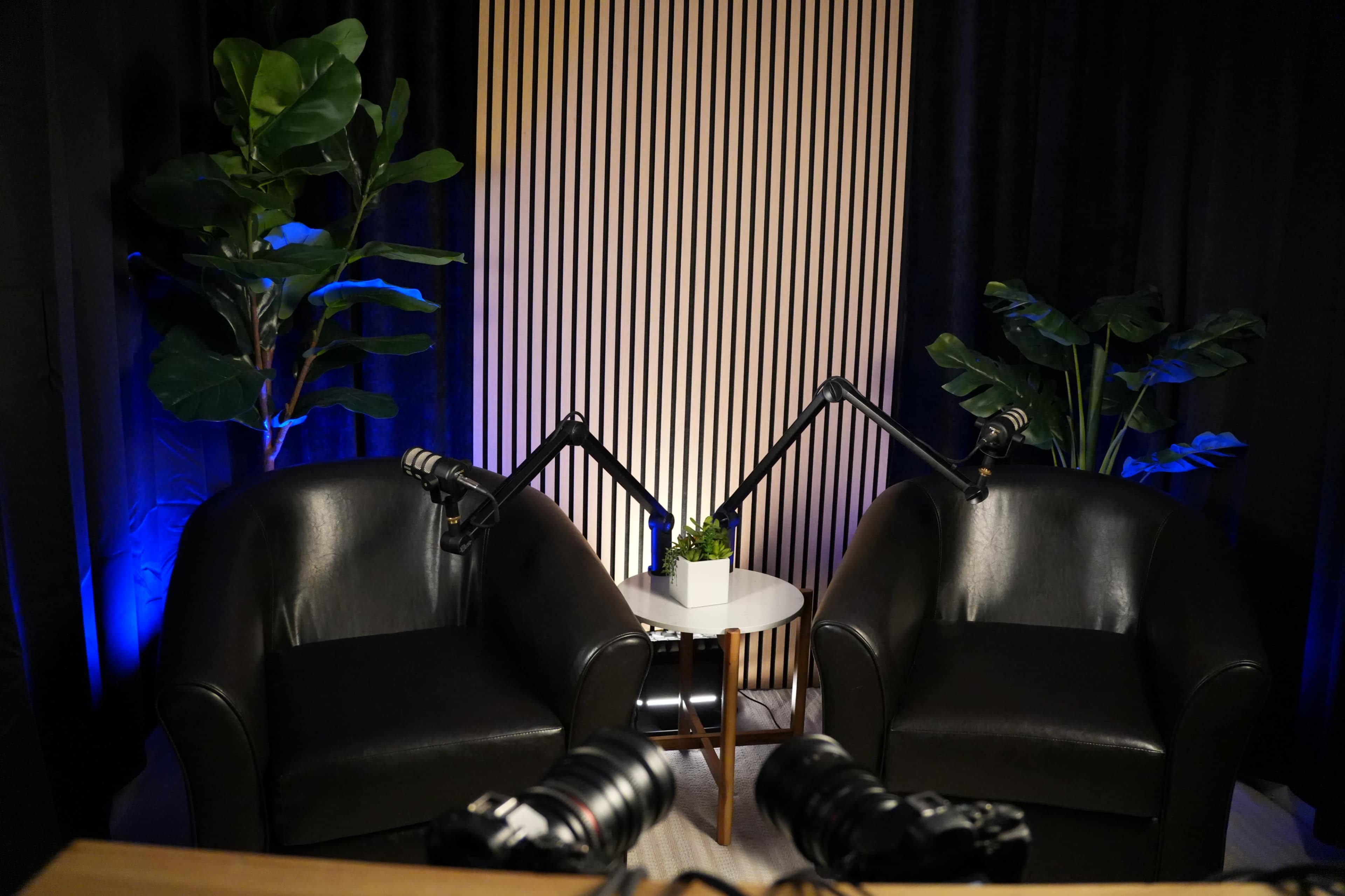 The image shows two black leather chairs positioned opposite each other in a studio setting, with a small table and decorative plants in the background.