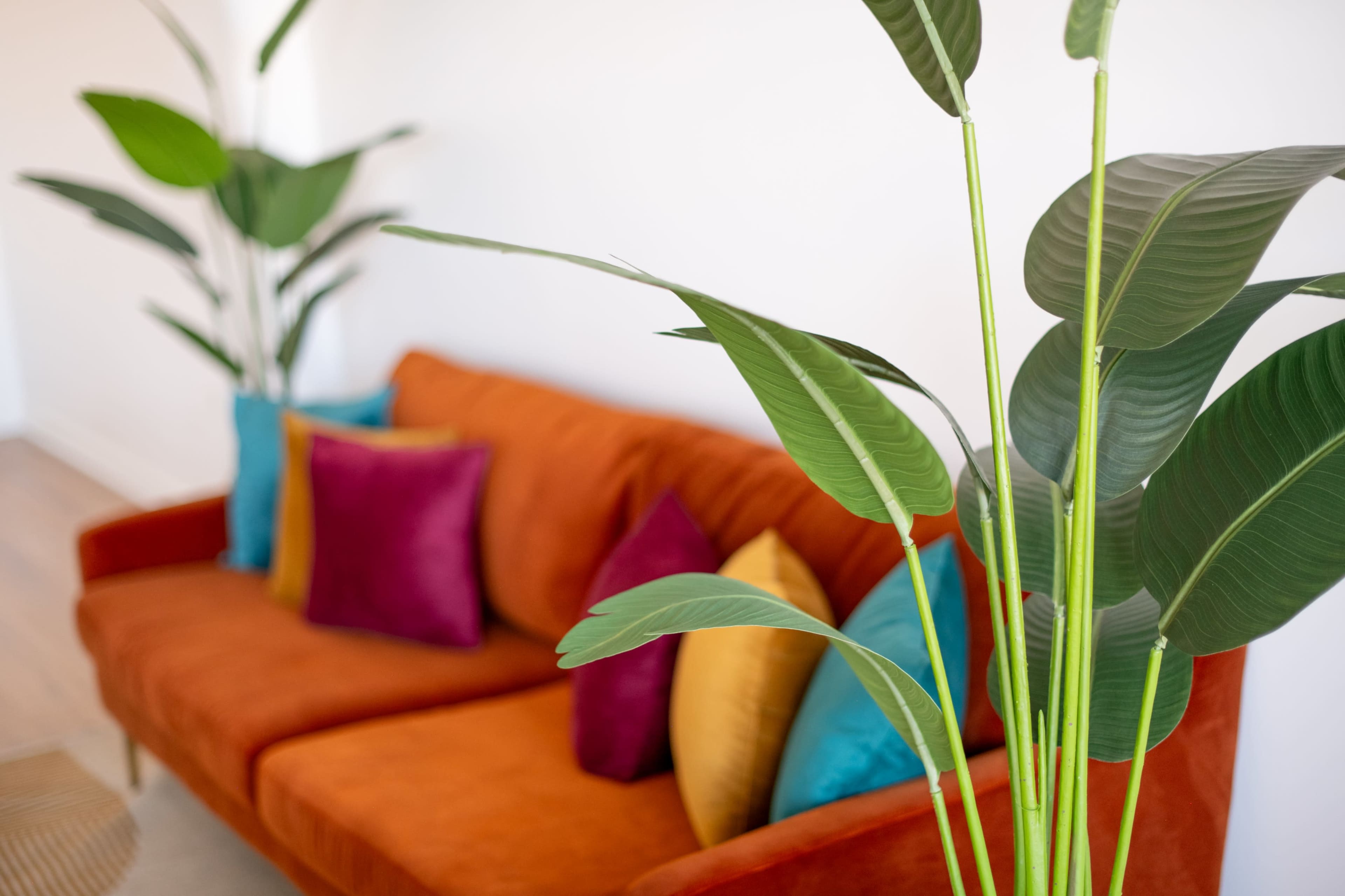 A vibrant orange sofa is adorned with colorful pillows, placed next to leafy green plants in a bright room.