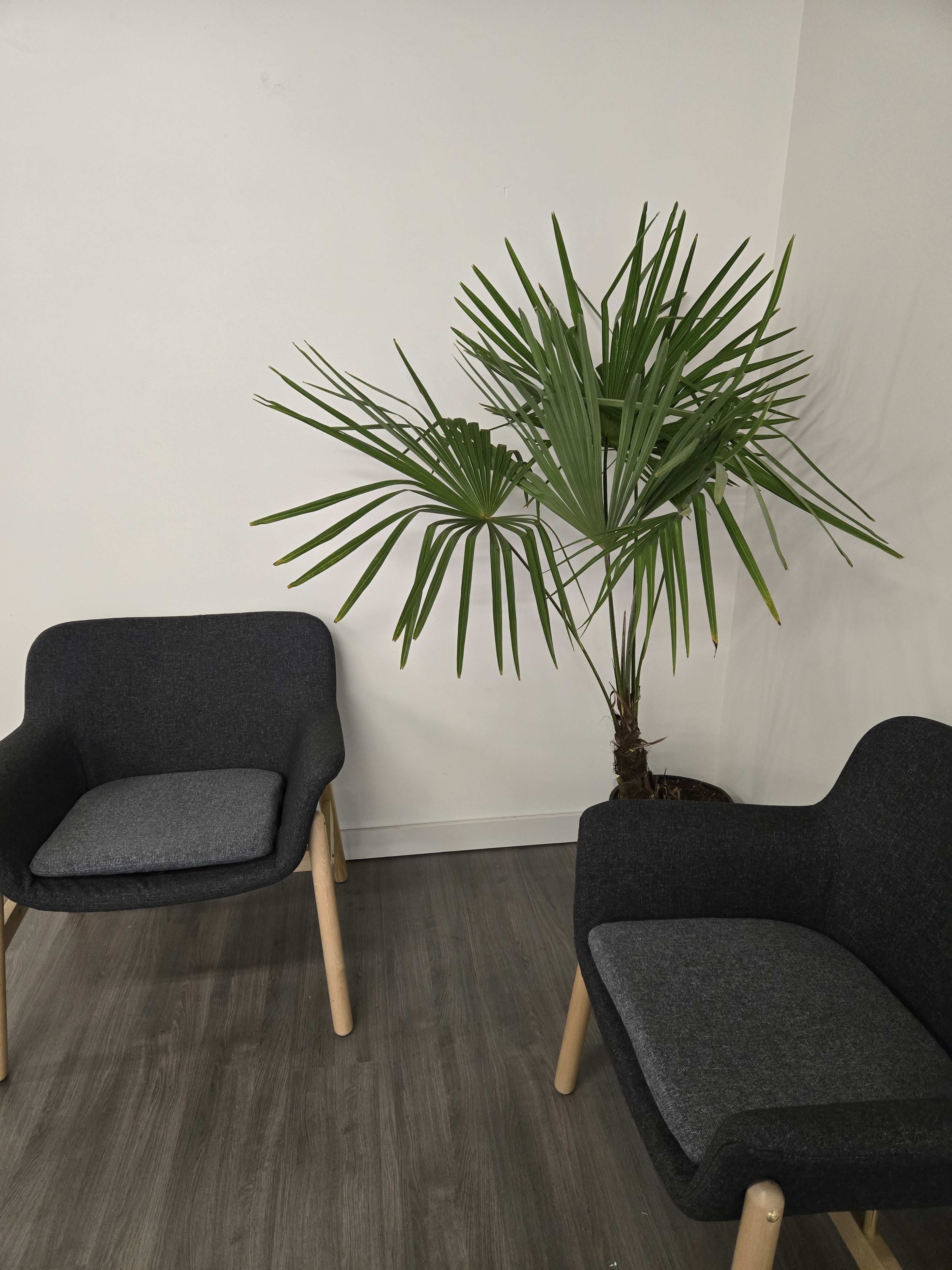 Activity Space with Meeting Loft Image in Port Coquitlam, Port Coquitlam, BC