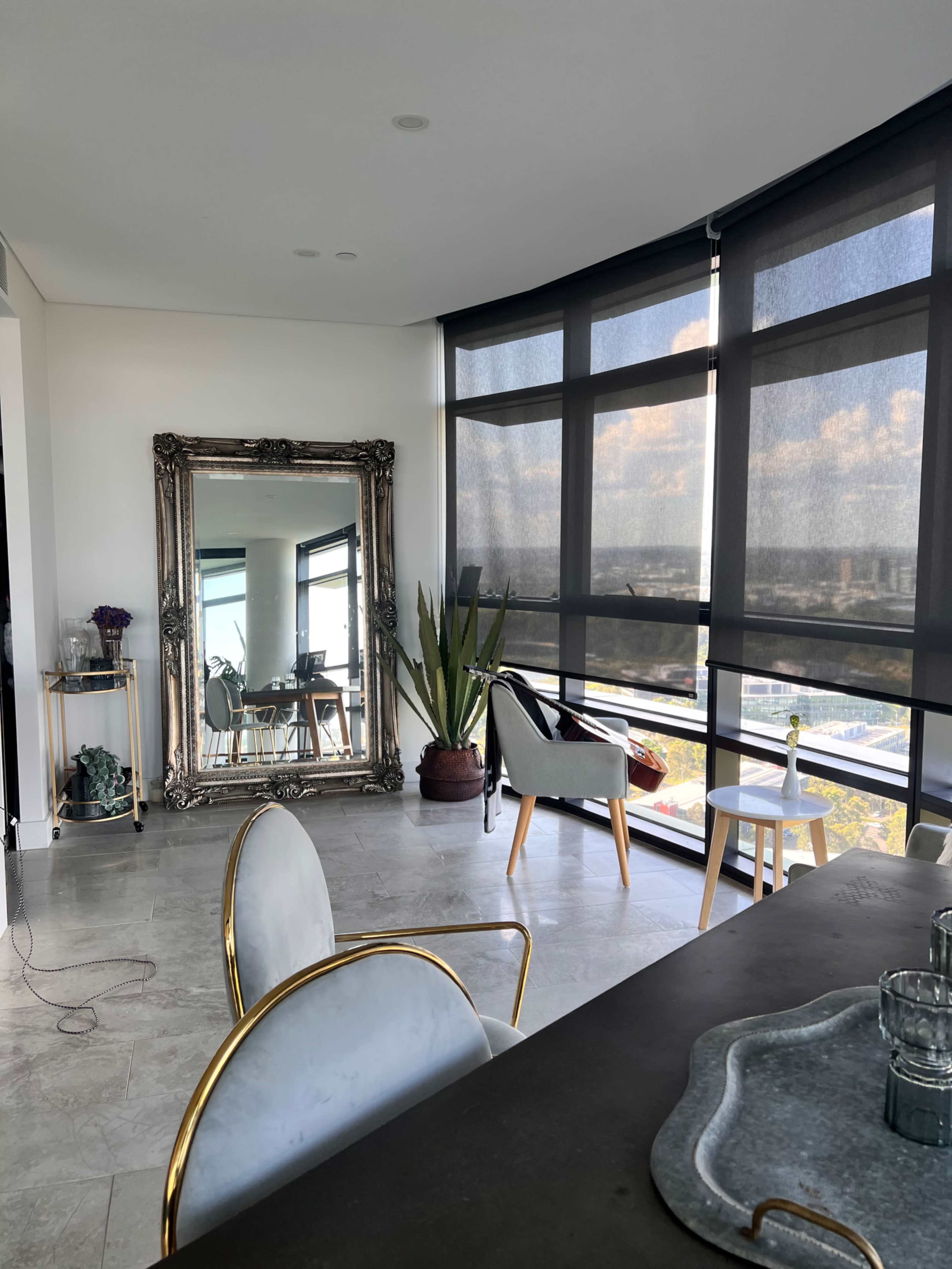The image shows a modern interior space with a large ornate mirror, a potted plant, and a view through large windows covered with dark roller shades.