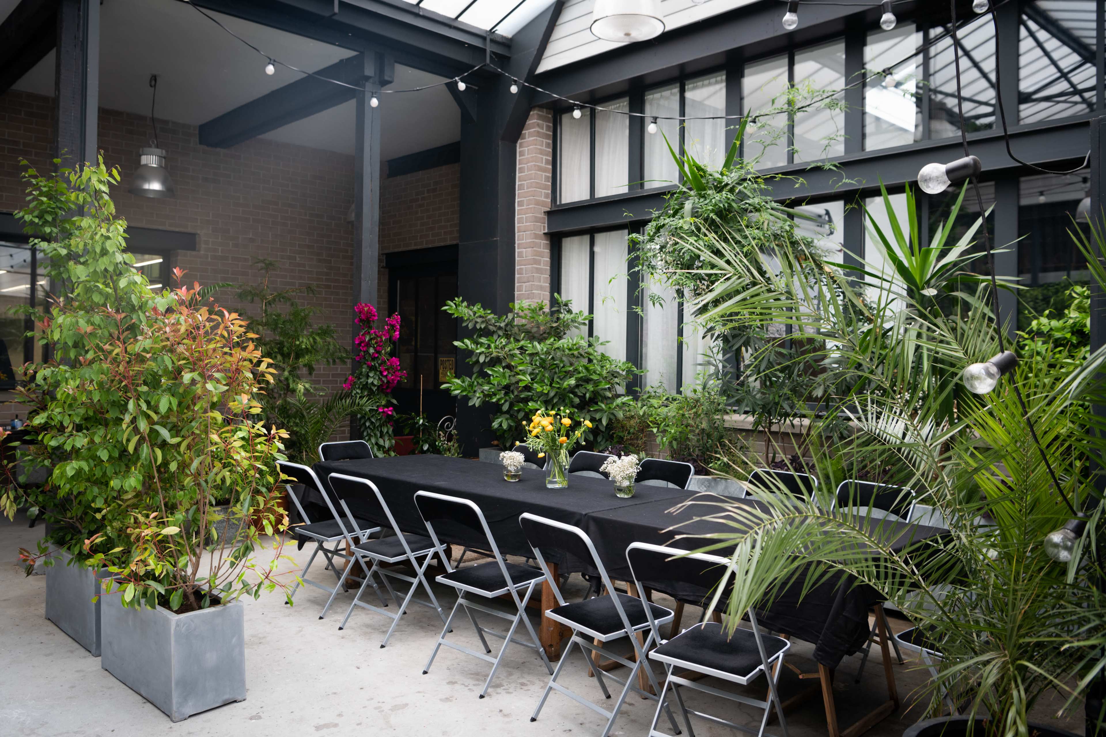 A long table is set for dining in a greenhouse filled with various plants and hanging lights.