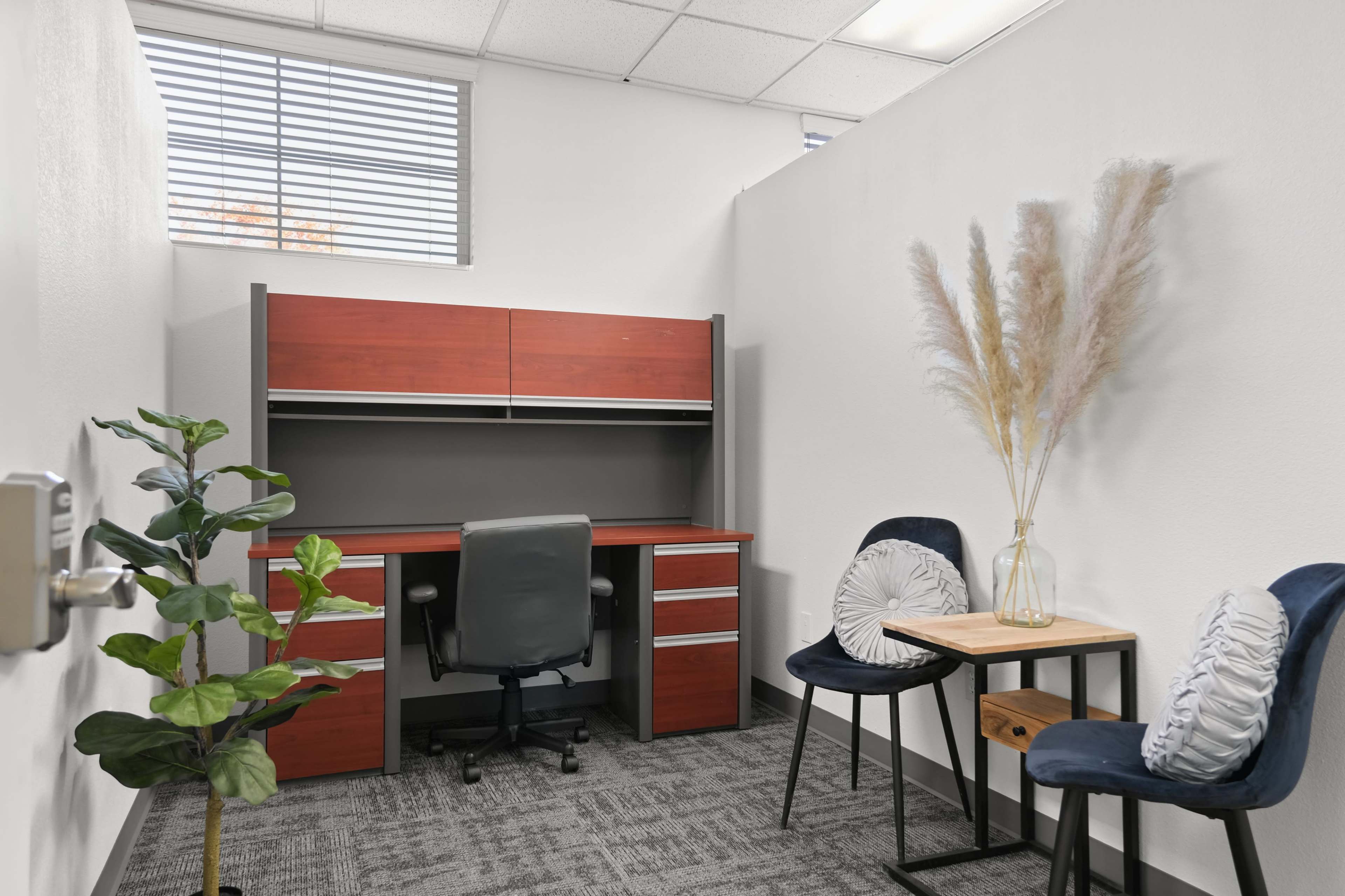 A small, well-lit office space featuring a desk with a chair, a table with two chairs, and decorative plants.