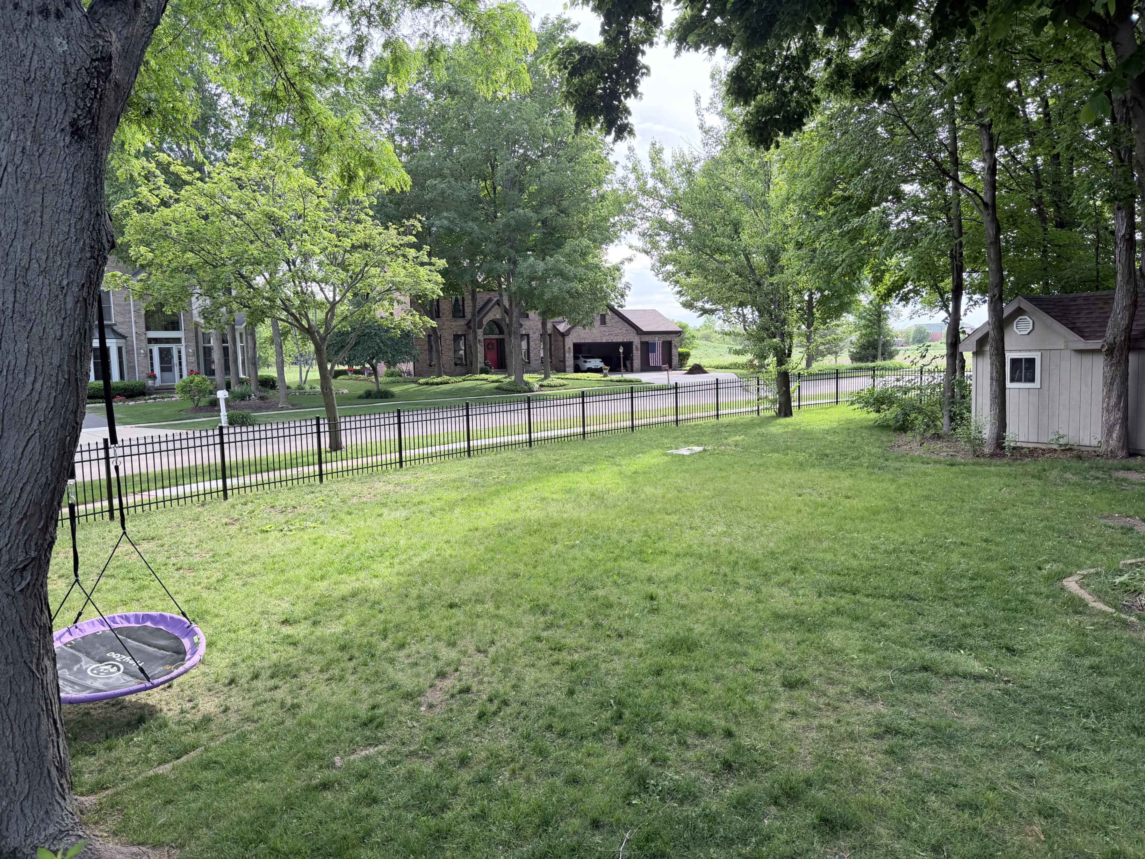 The image shows a green backyard with a small play structure, a trampoline, and a view of a residential area across the street.