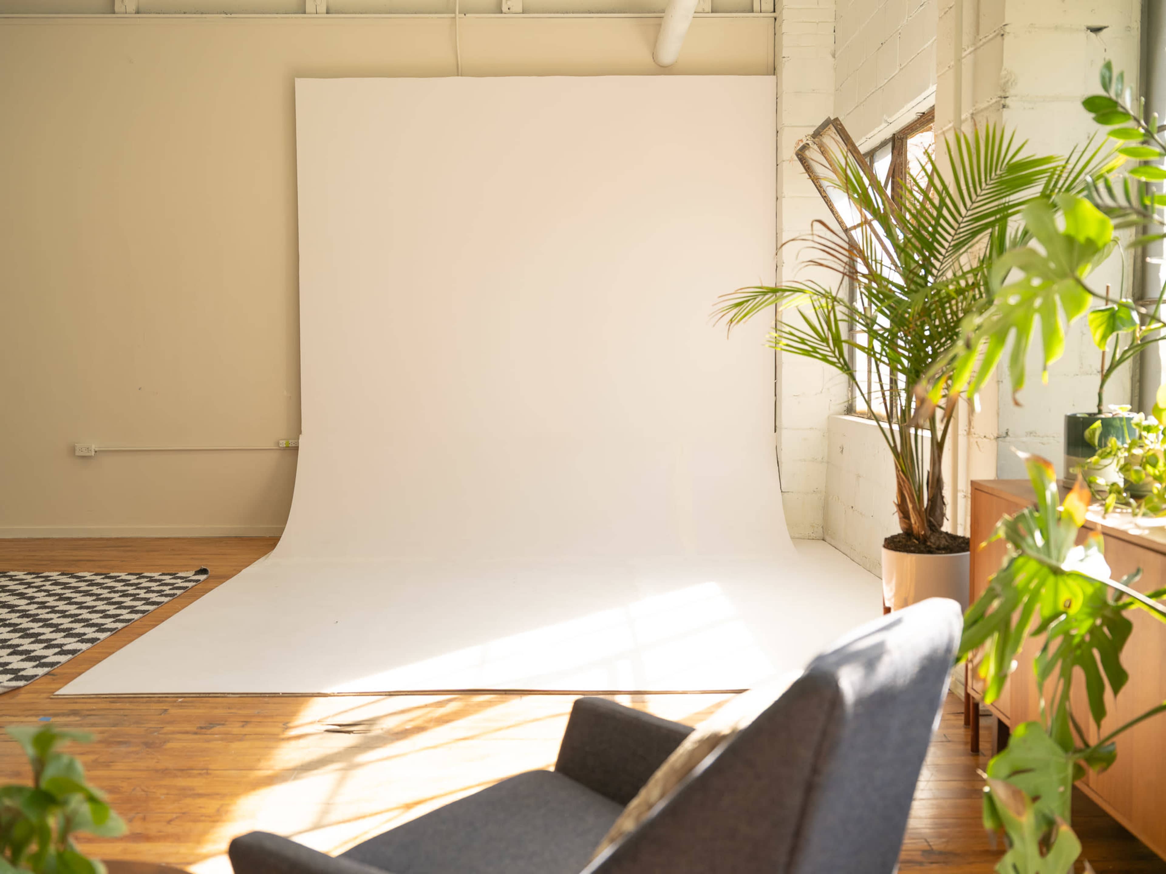 The image shows a spacious interior with a large white backdrop, a potted plant, and a blue chair situated on wooden flooring.