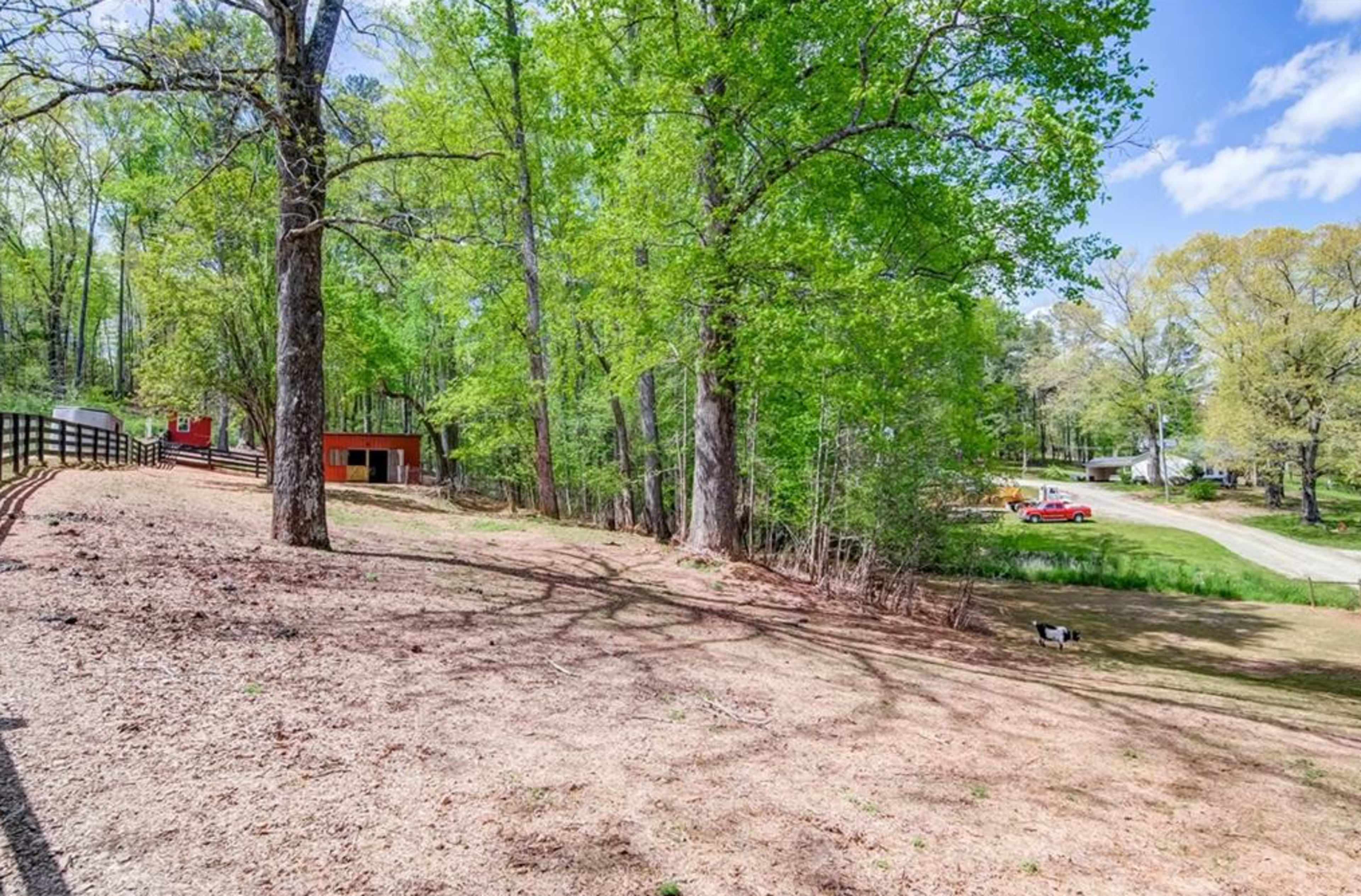 The image shows a treed area beside a dirt path, with a small shed and a distant view of a building.