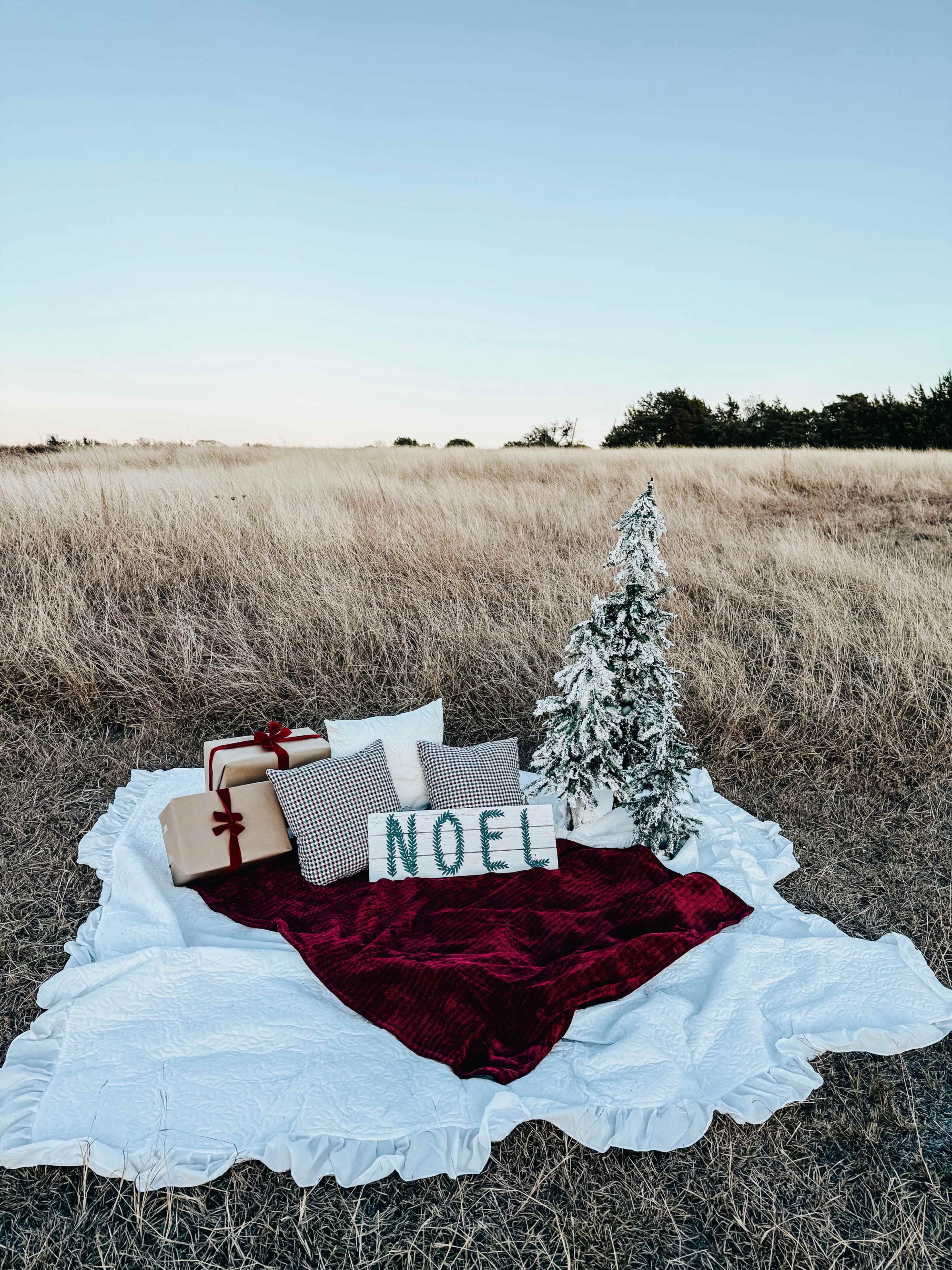 Wide Open Spaces Image in Rockwall, Rockwall, TX