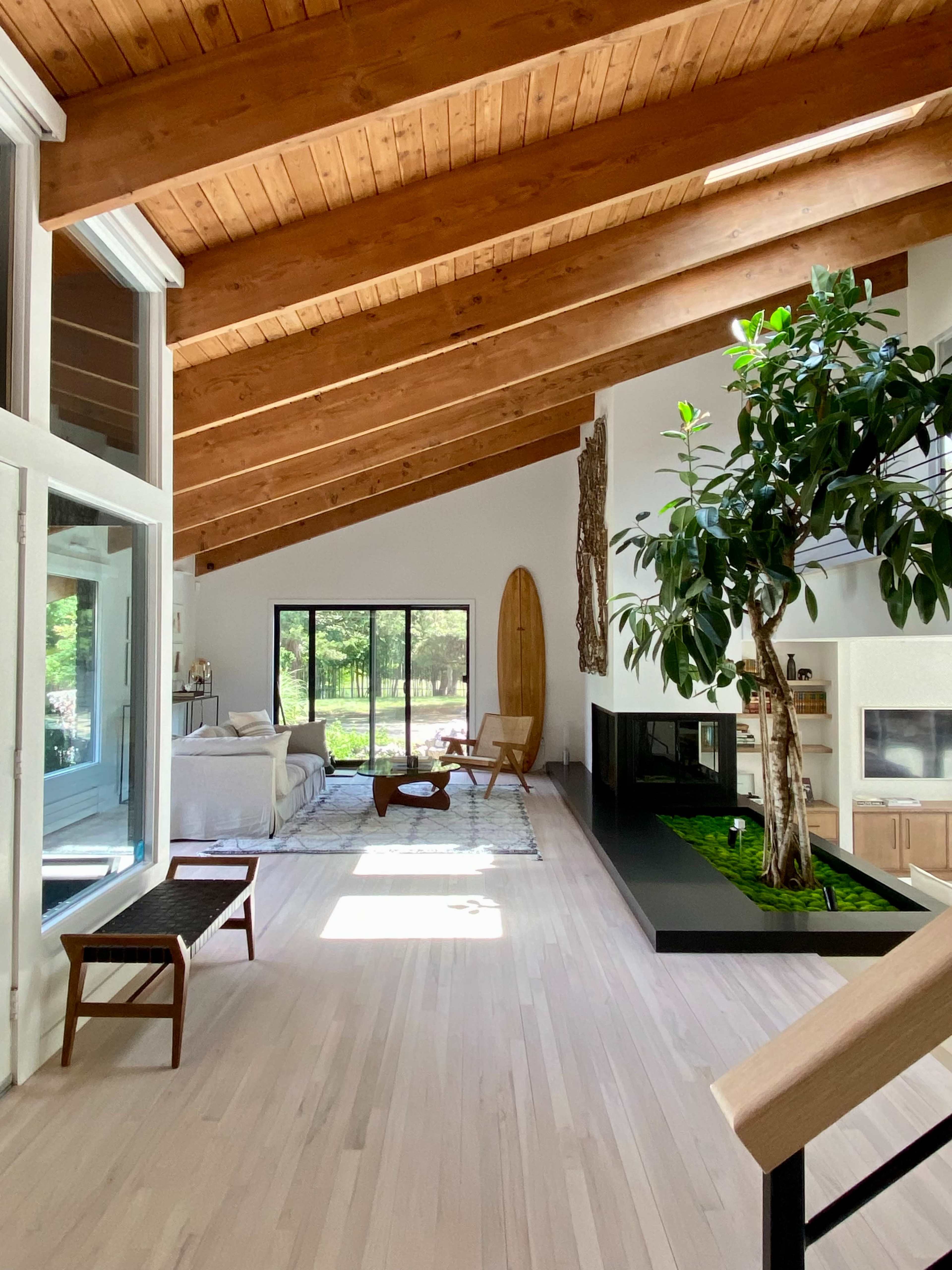 The image shows a bright living room with a high wooden ceiling, large windows, a green plant, and minimalist furniture.