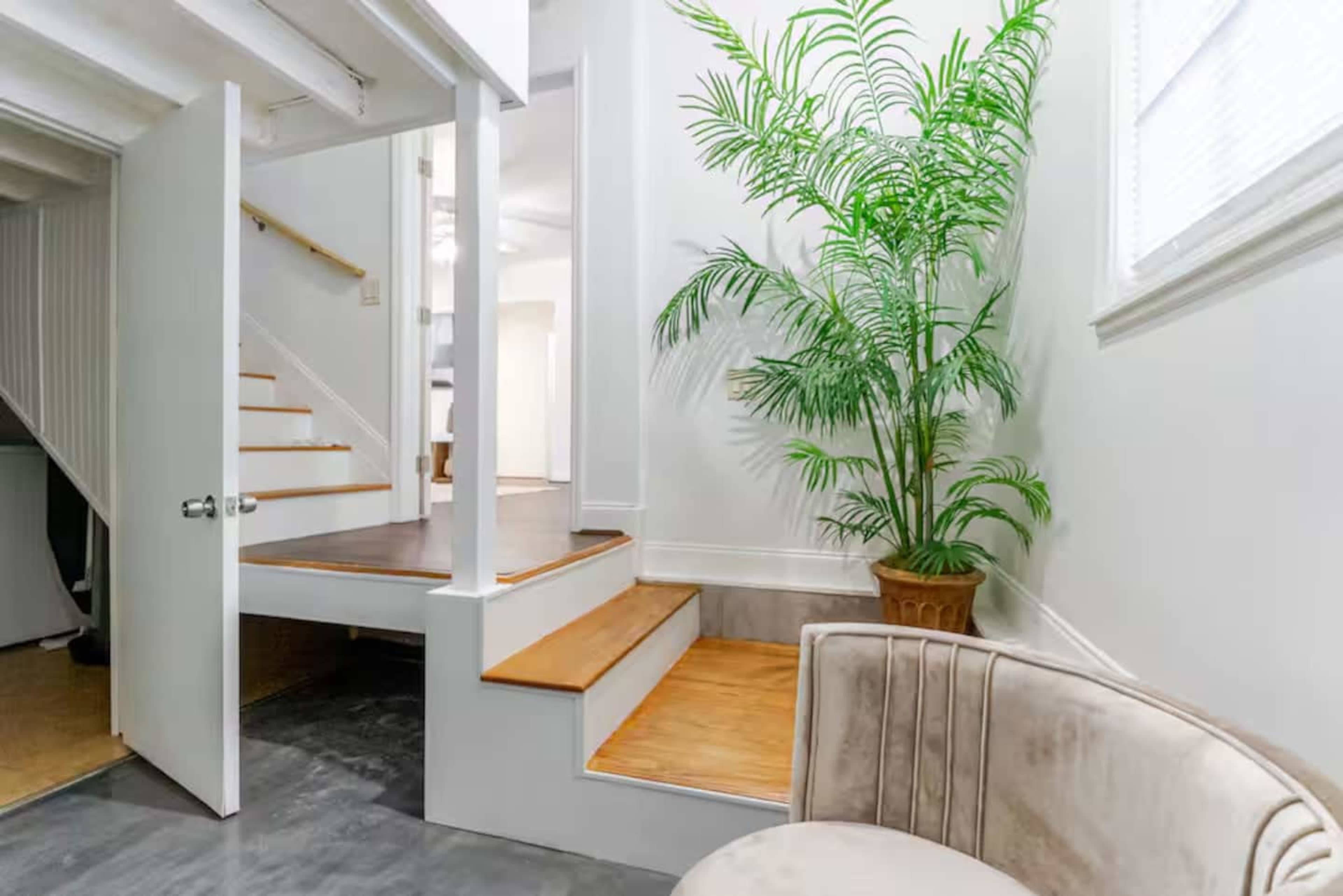 The image shows a well-lit entryway with a staircase leading up to a wooden landing, accompanied by a potted plant in the corner and a curved beige couch nearby.