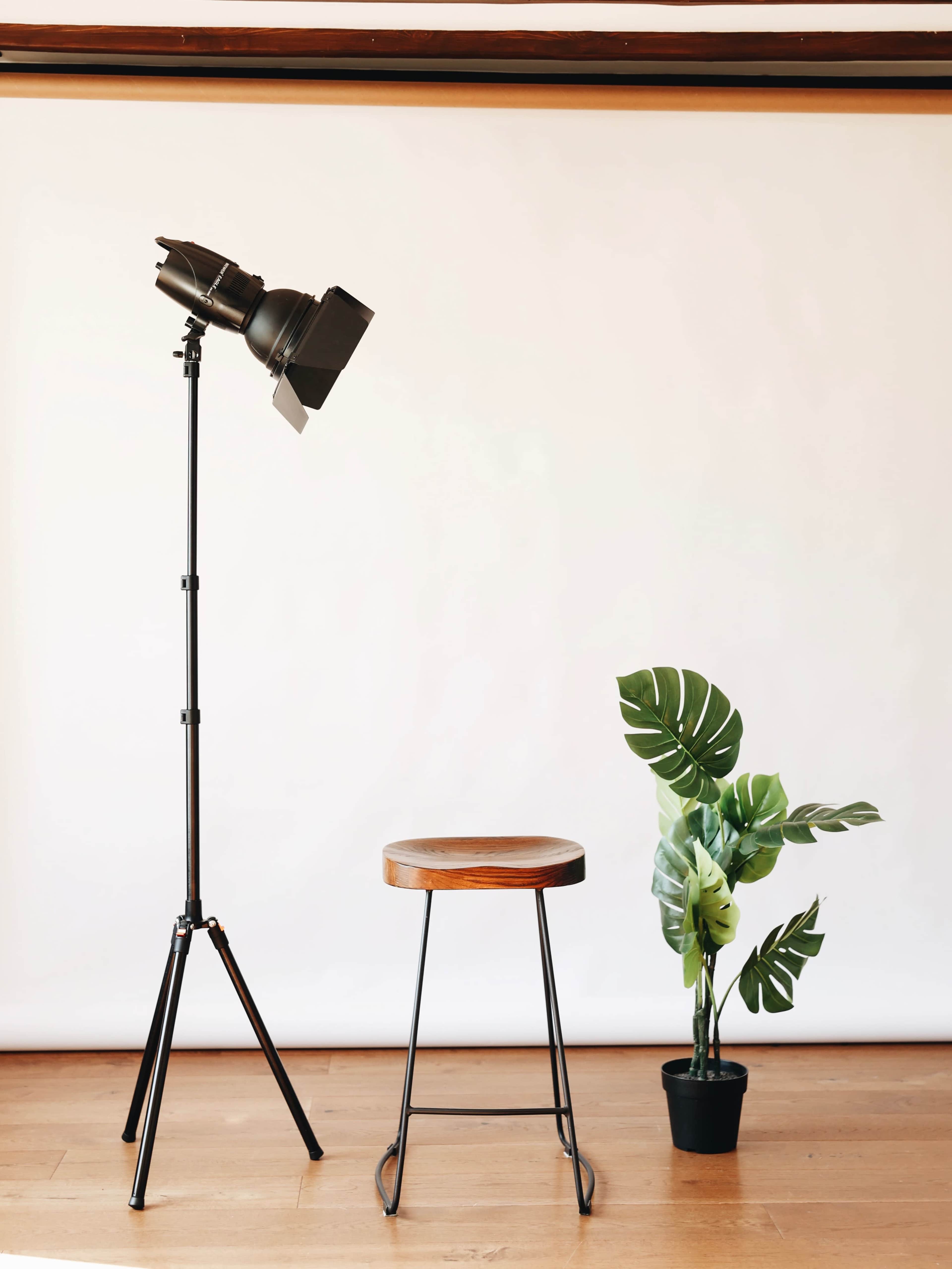 A black studio light on a stand, a wooden stool, and a potted green plant against a plain backdrop.