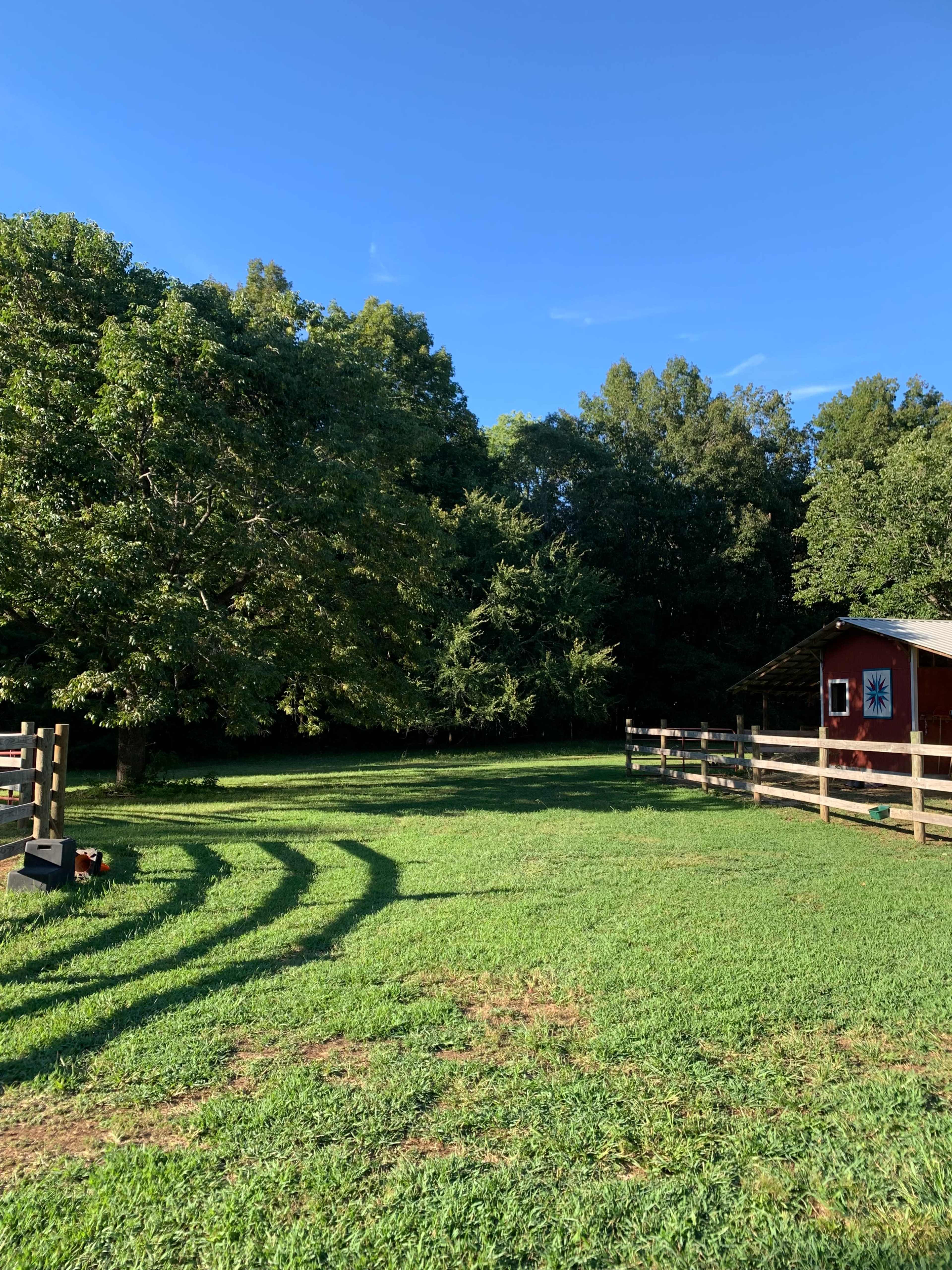 A grassy area with a red shed, a large tree, and a wooden fence under a clear blue sky.