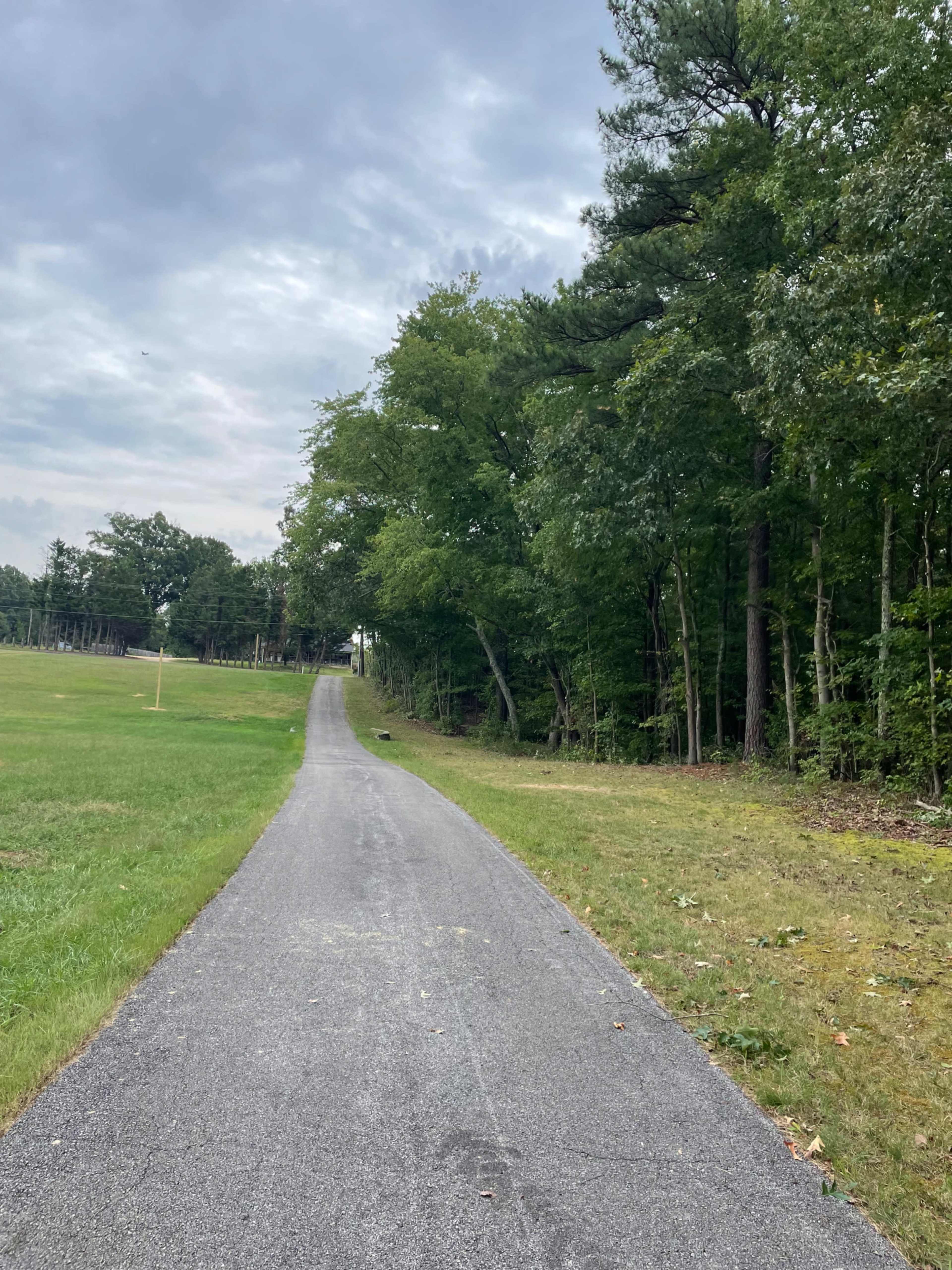 A paved pathway winds through a grassy area alongside a tree line under a cloudy sky.