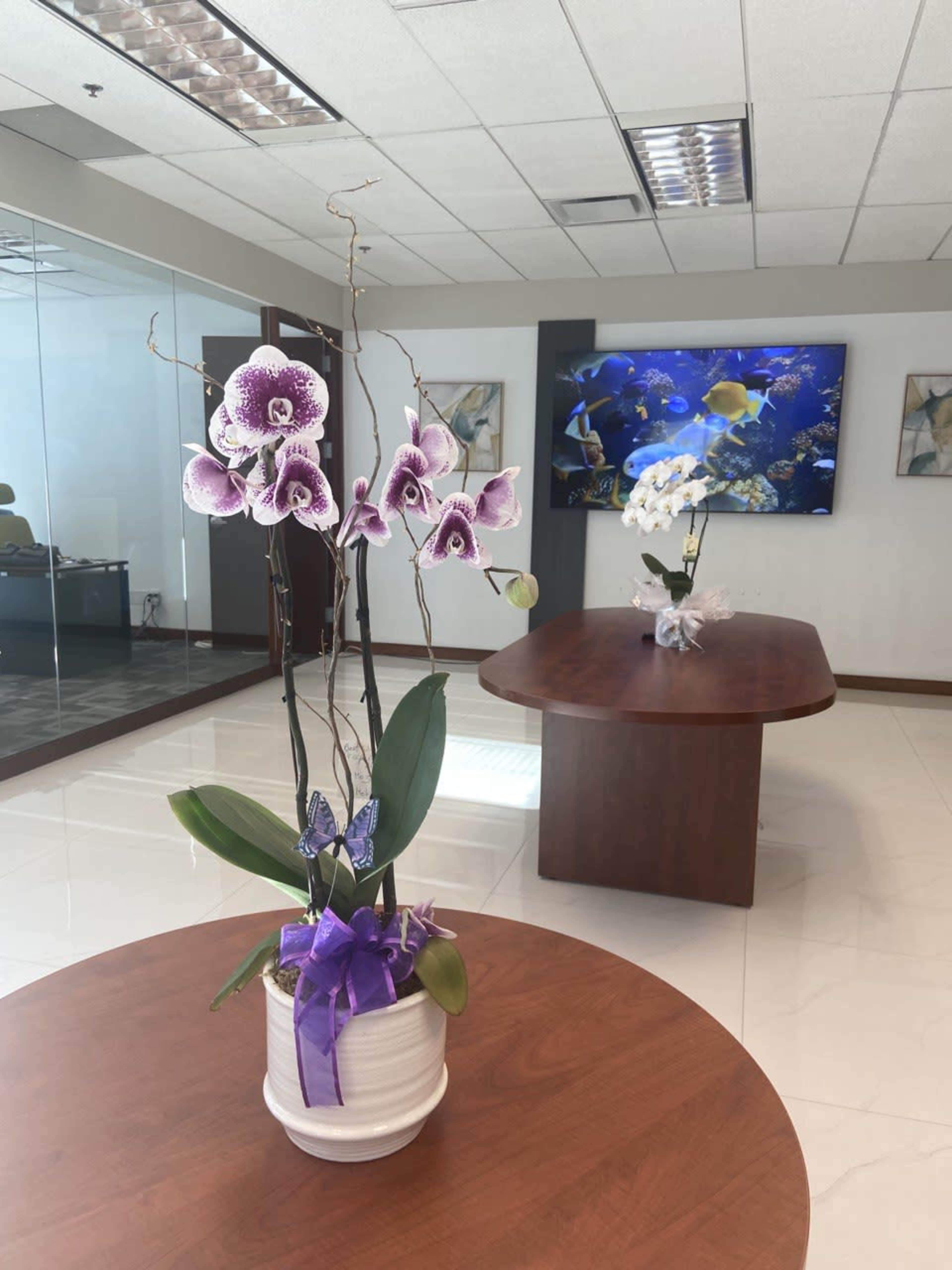A bright office space featuring two wooden tables and decorative orchids in pots, with a large screen displaying aquatic images in the background.