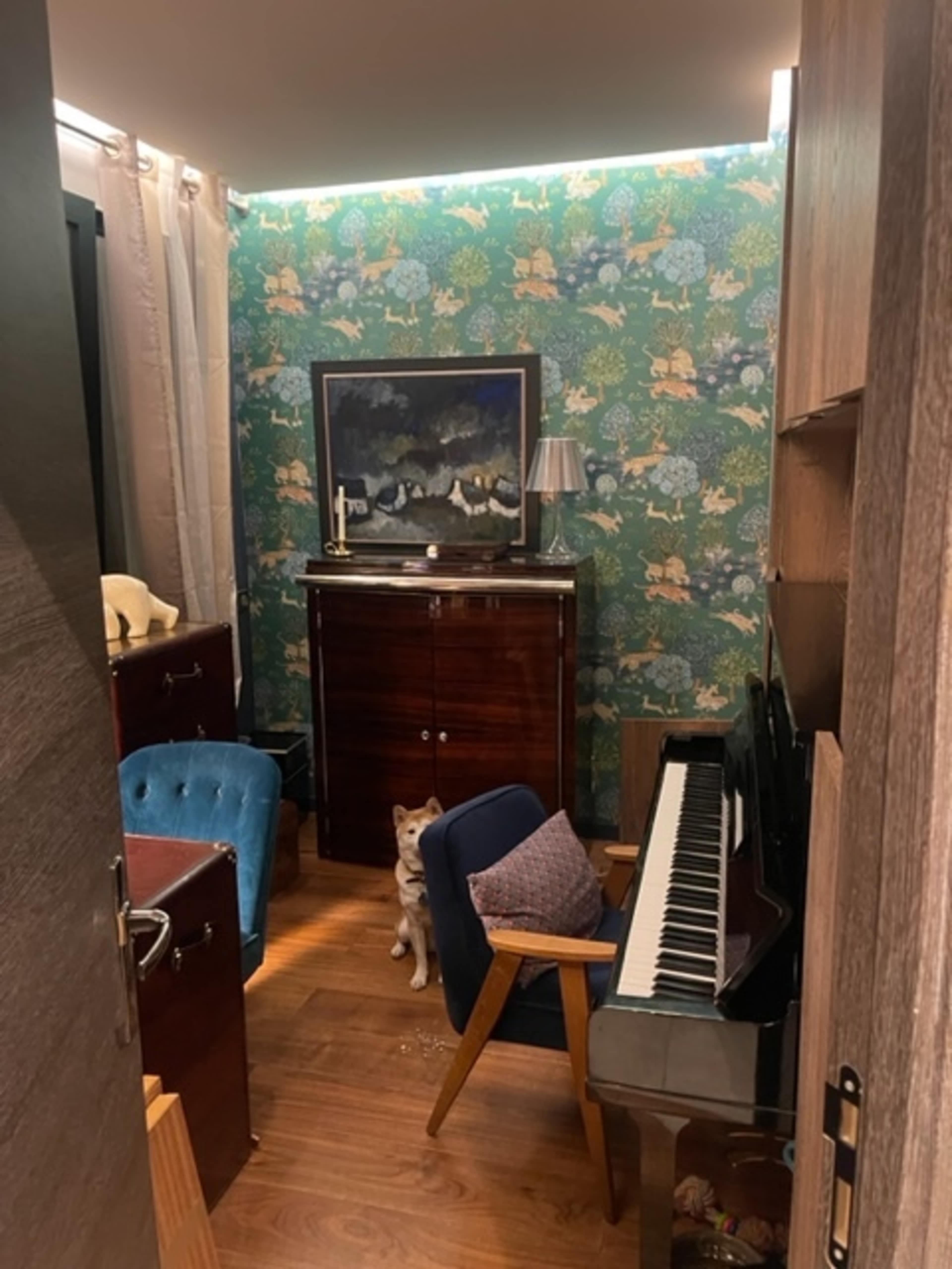 The image shows a small, cluttered room featuring a piano, a blue chair, and a wooden cabinet, with a dog sitting on the floor against a patterned wall.