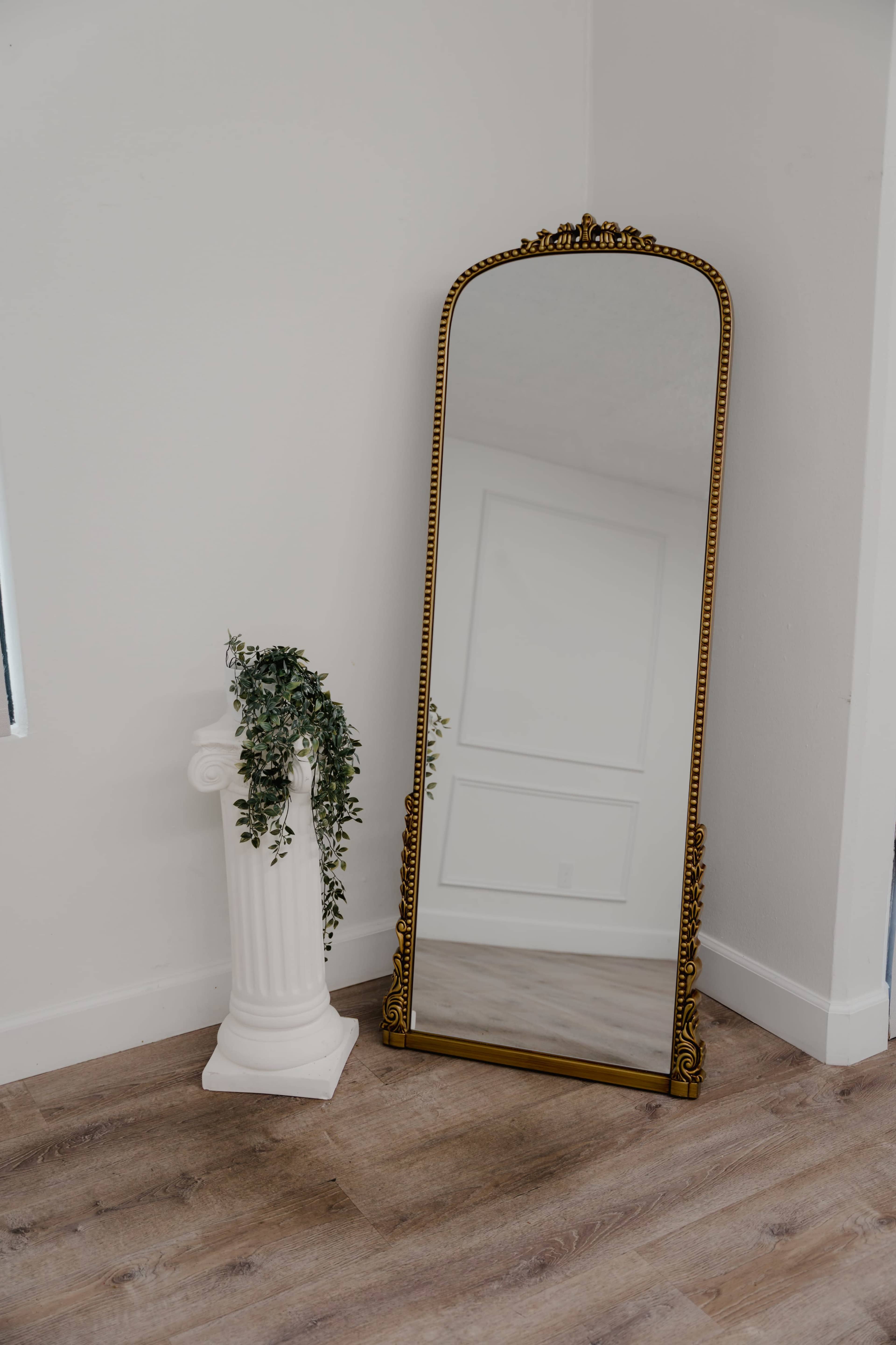 A tall, ornate mirror stands against a white wall next to a decorative column with climbing greenery.