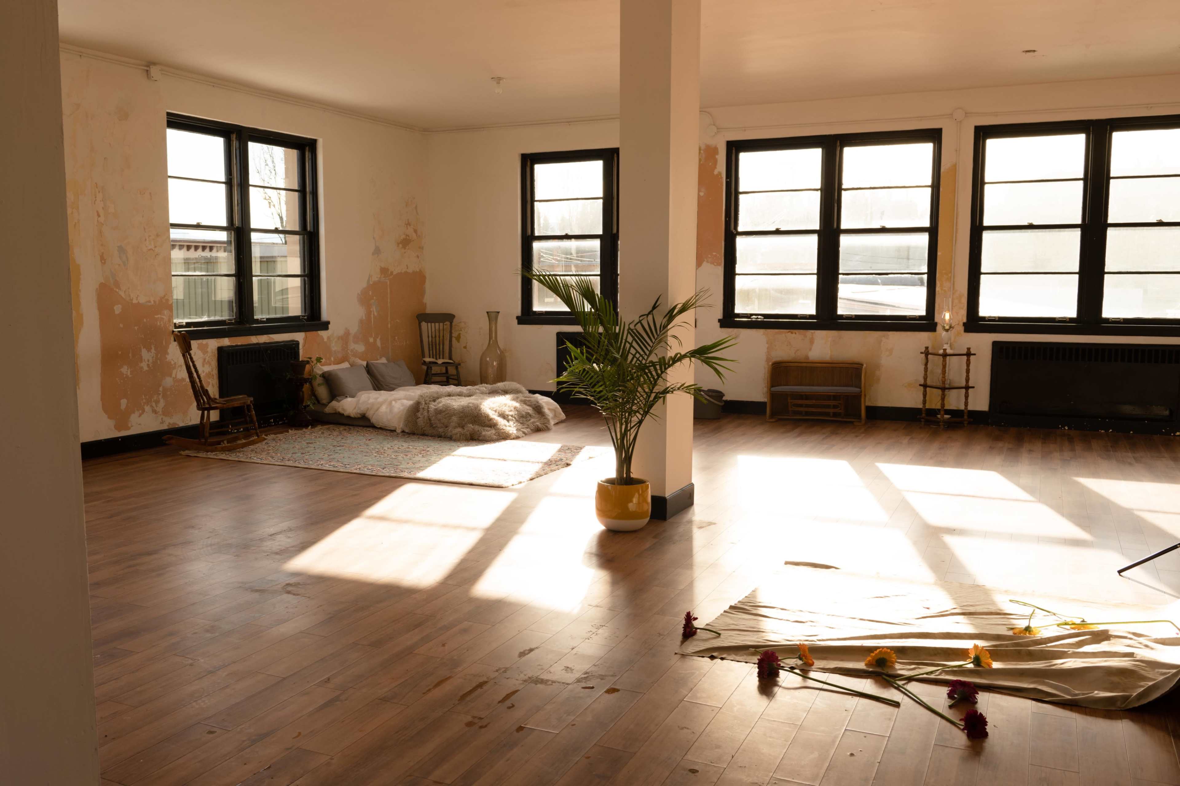 A spacious, empty room with wooden floors, large windows, a few chairs, a potted plant, and sunlight casting shadows across the floor.