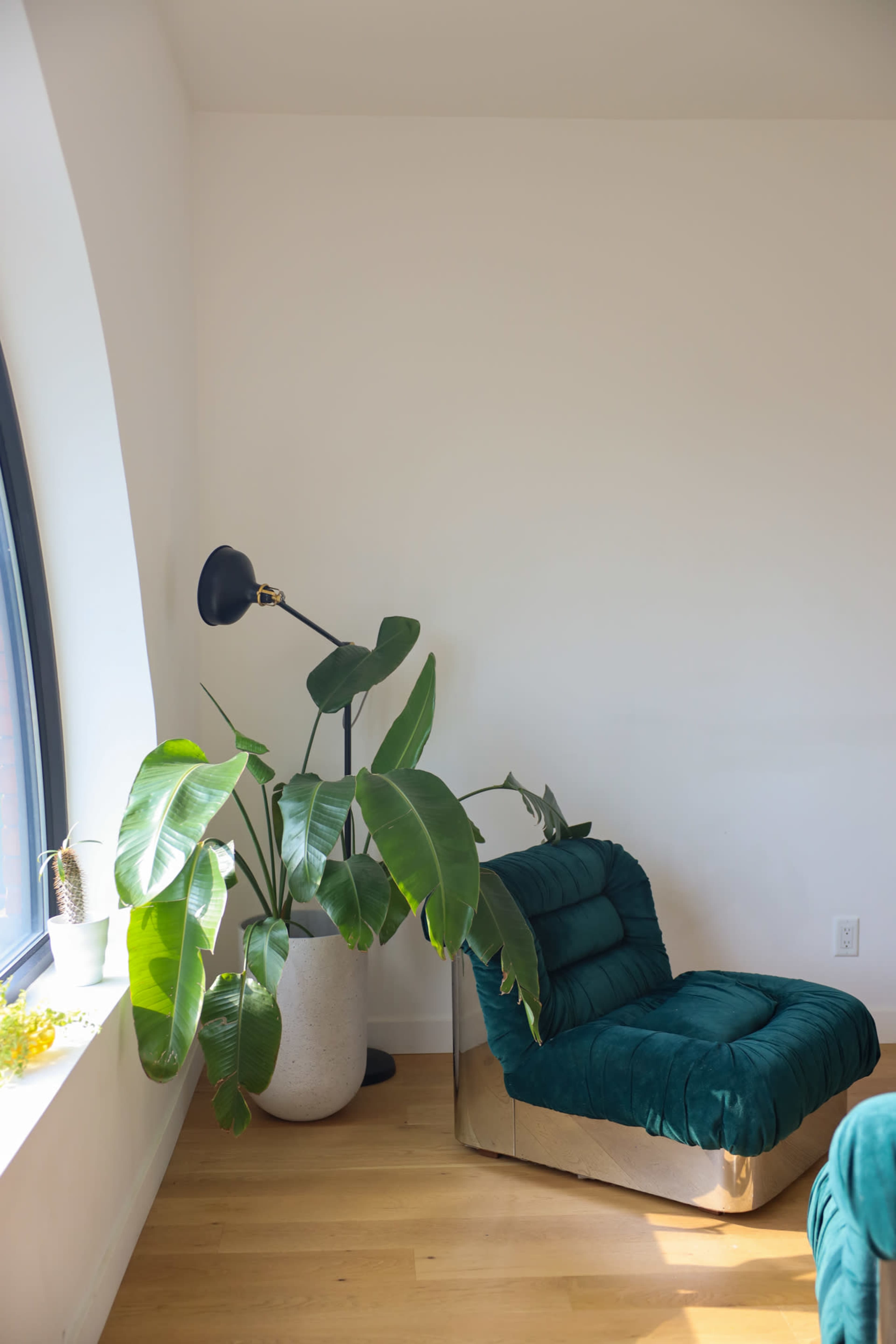 A green velvet chaise lounge is positioned next to a large potted plant by a window with a black floor lamp nearby.